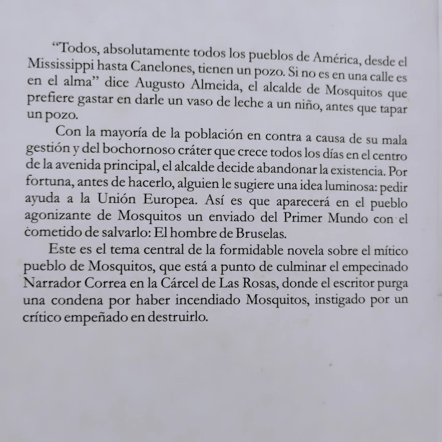 El hombre de Bruselas - Mario Delgado Aparaín