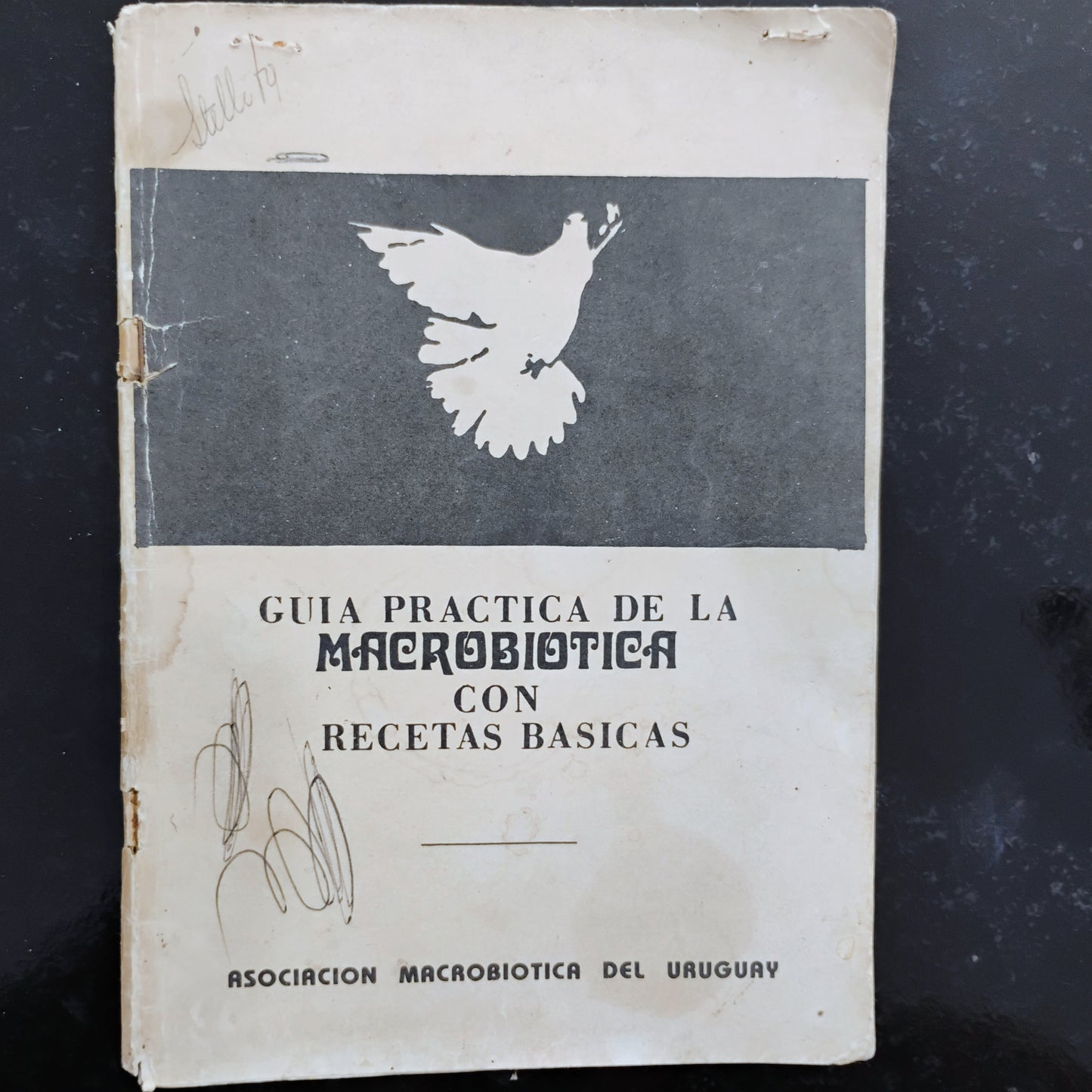 Guía práctica de la Macrobiótica con recetas prácticas