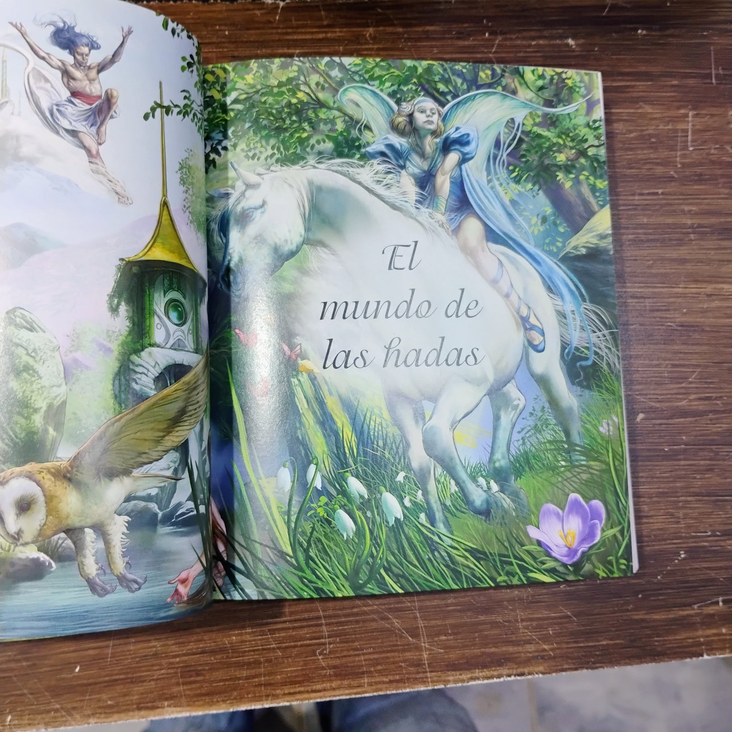 La Biblia de las Hadas - Teresa Moorey
