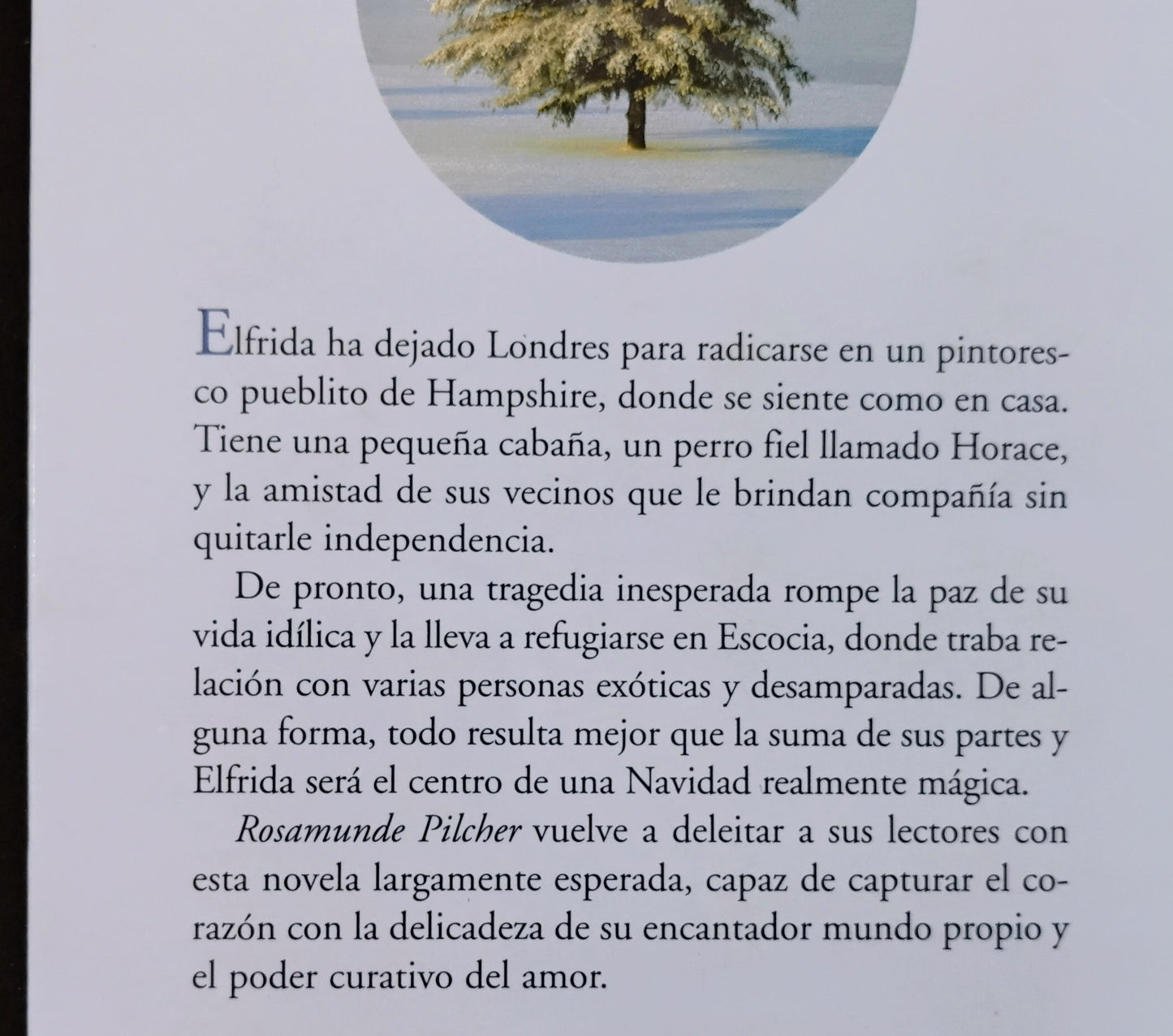 Solsticio de invierno - Rosemunde Pilcher