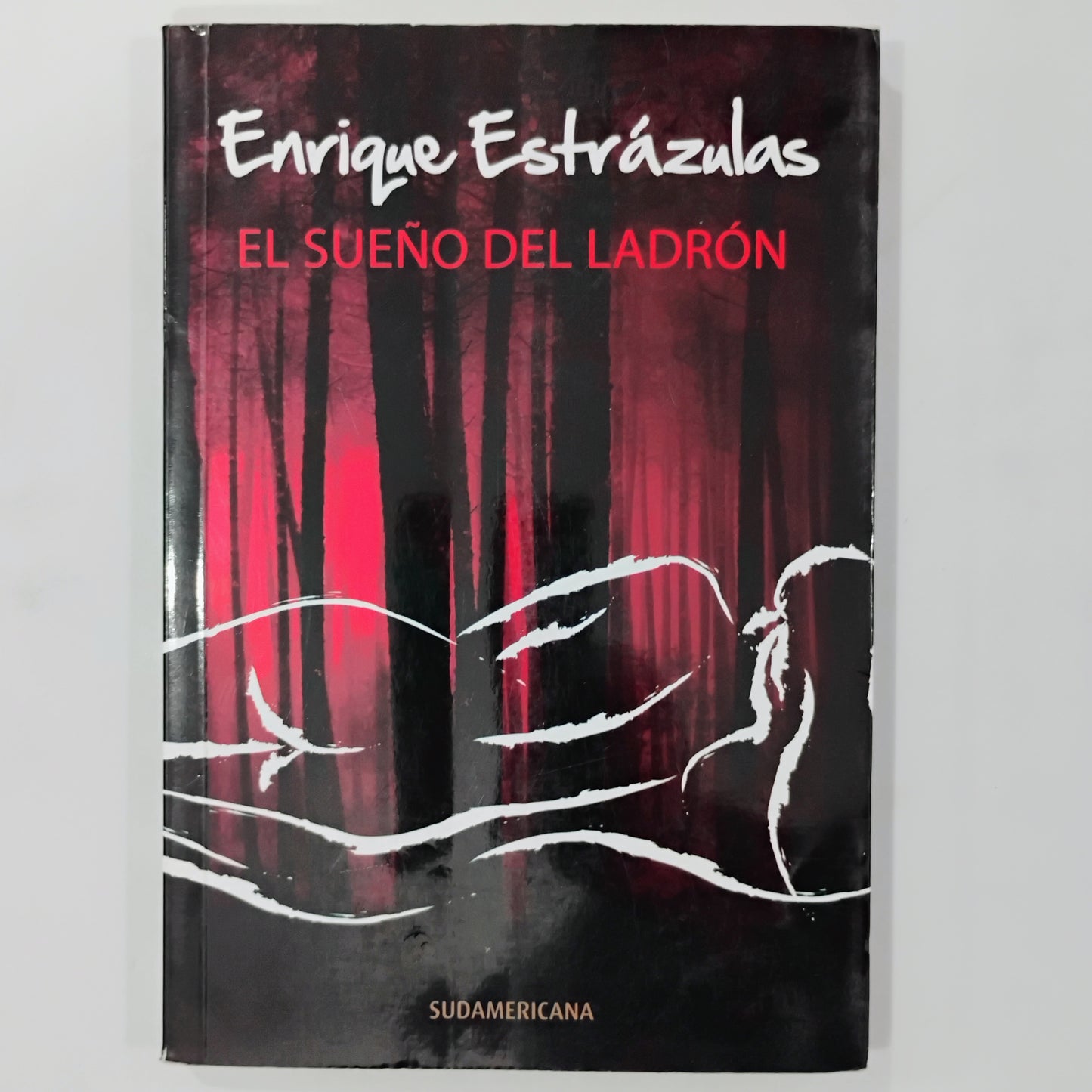 El sueño del ladrón - Enrique Estrázulas