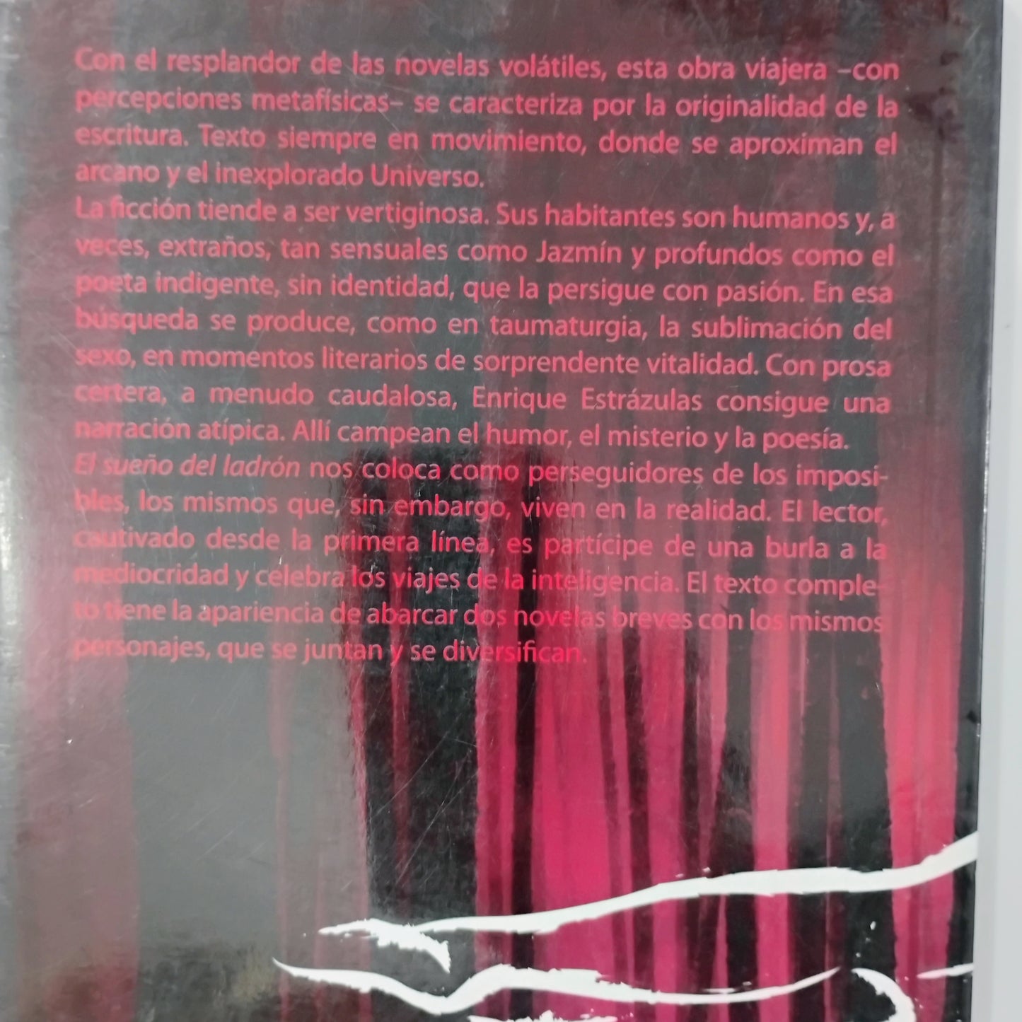 El sueño del ladrón - Enrique Estrázulas