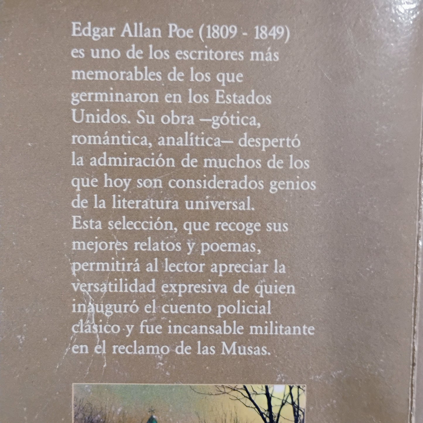 Narraciones extraordinarias - Edgar Allan Poe