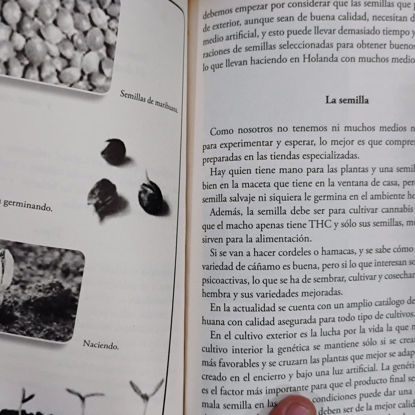 Manual de cultivo, uso y propiedades de la marihuana - Javier Tapia Rodríguez
