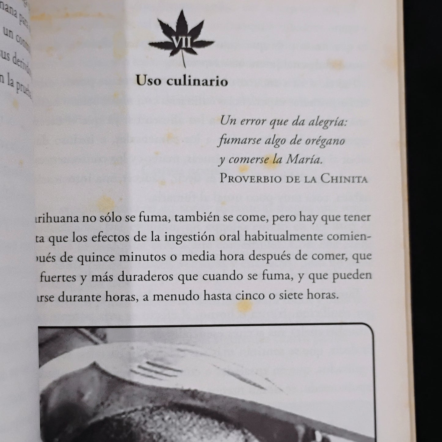 Manual de cultivo, uso y propiedades de la marihuana - Javier Tapia Rodríguez