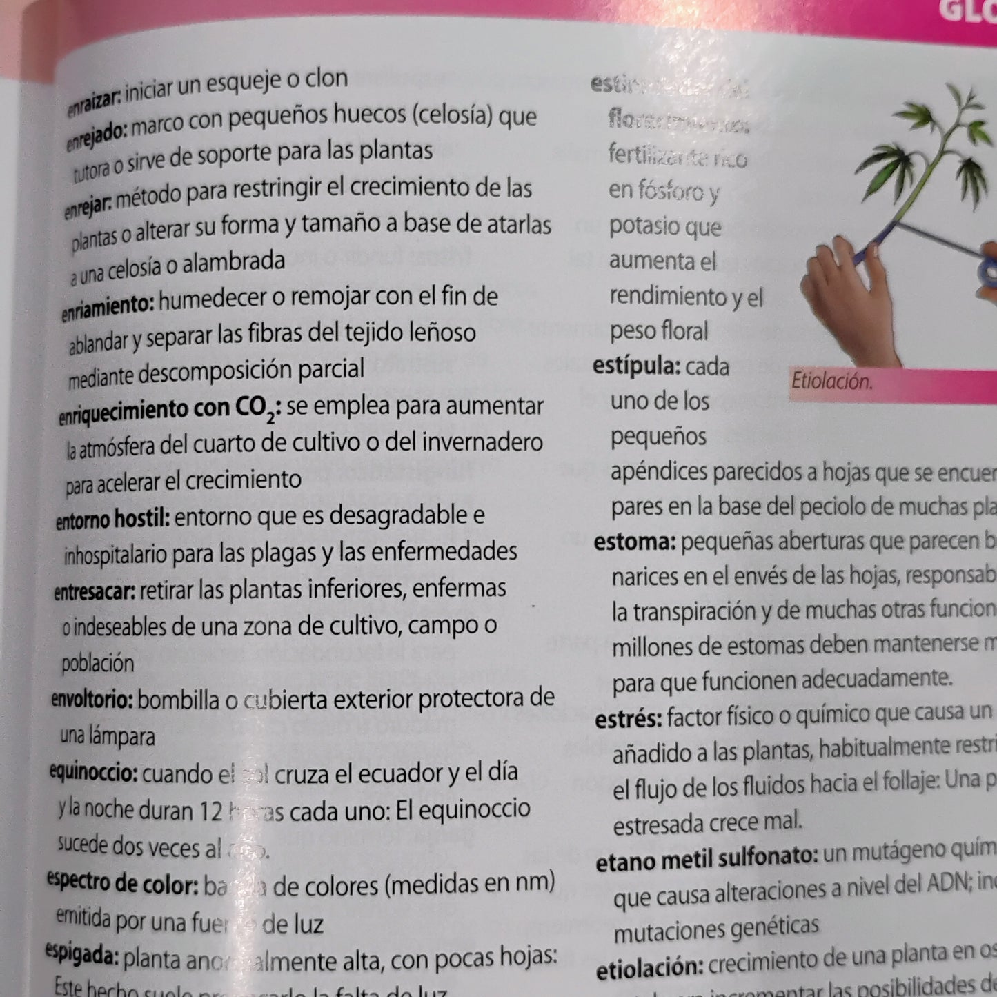 Marihuana: horticultura del cannabis. La biblia del cultivador médico del interior y exterior. - Jorge Cervantes