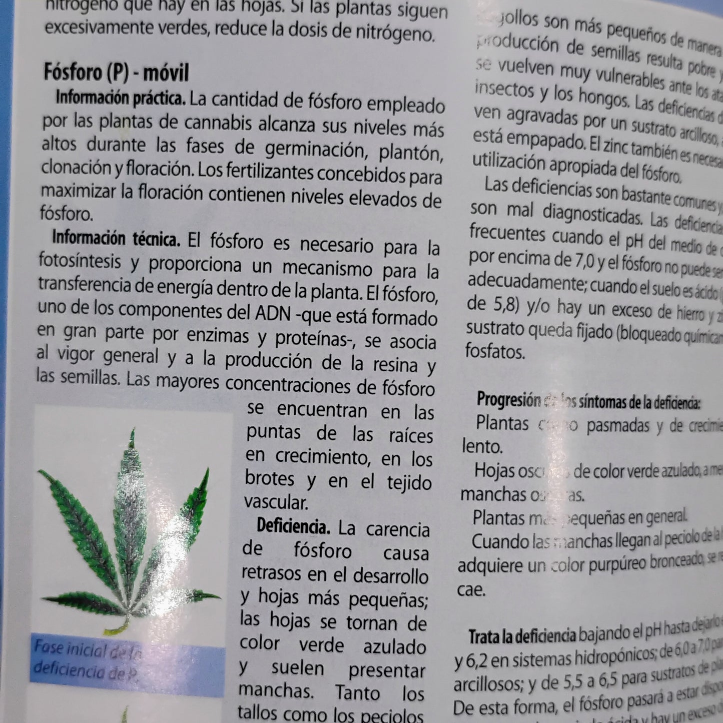 Marihuana: horticultura del cannabis. La biblia del cultivador médico del interior y exterior. - Jorge Cervantes