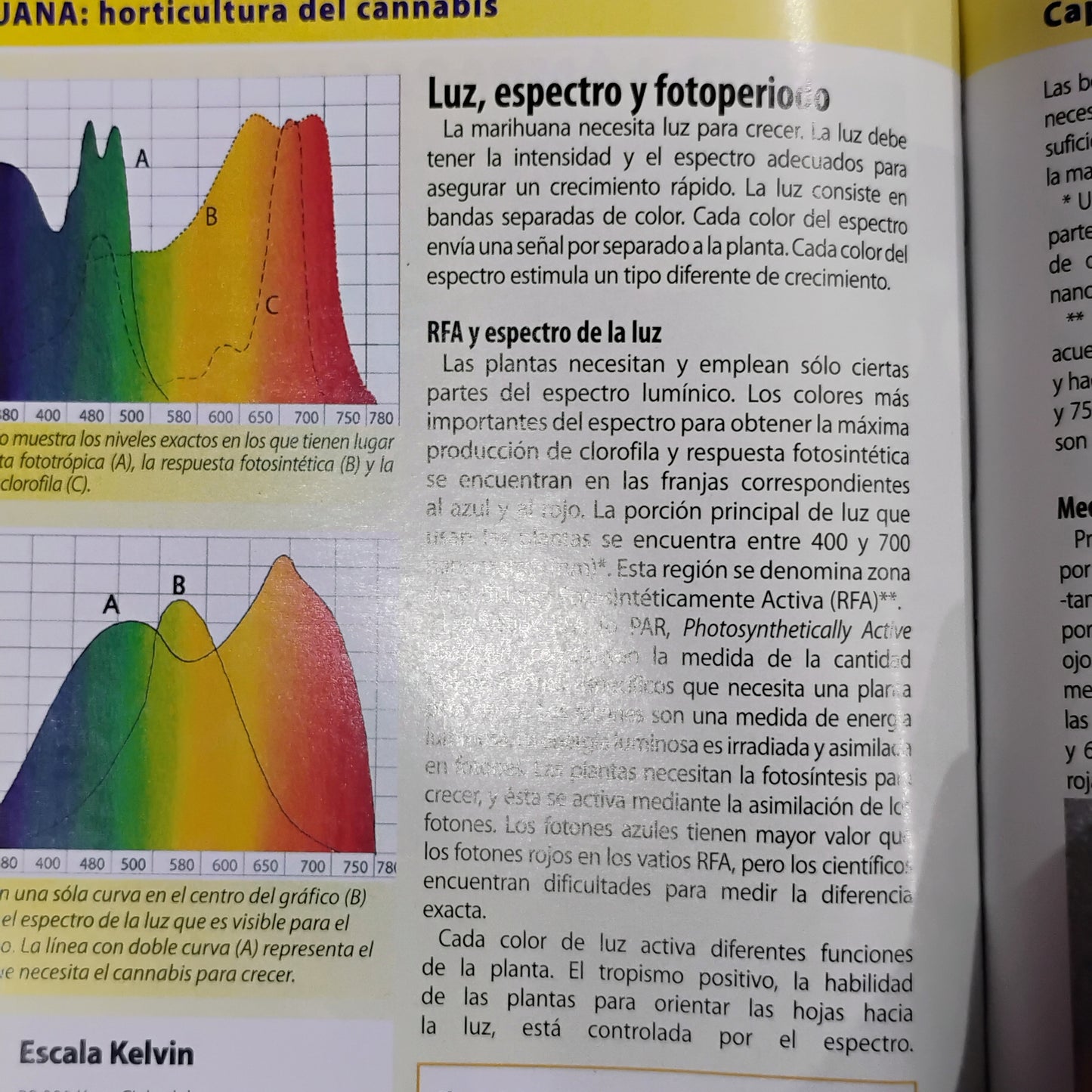 Marihuana: horticultura del cannabis. La biblia del cultivador médico del interior y exterior. - Jorge Cervantes