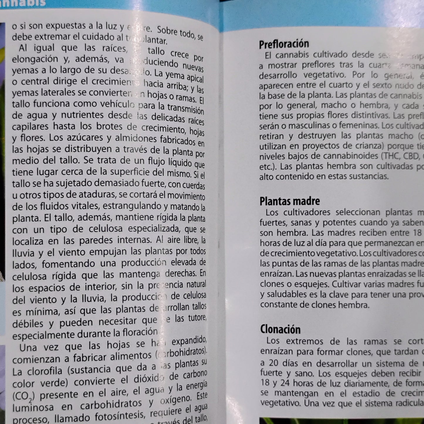 Marihuana: horticultura del cannabis. La biblia del cultivador médico del interior y exterior. - Jorge Cervantes