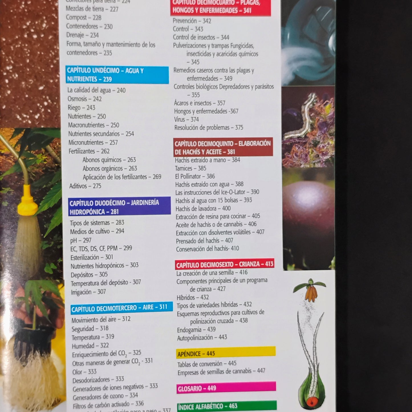 Marihuana: horticultura del cannabis. La biblia del cultivador médico del interior y exterior. - Jorge Cervantes
