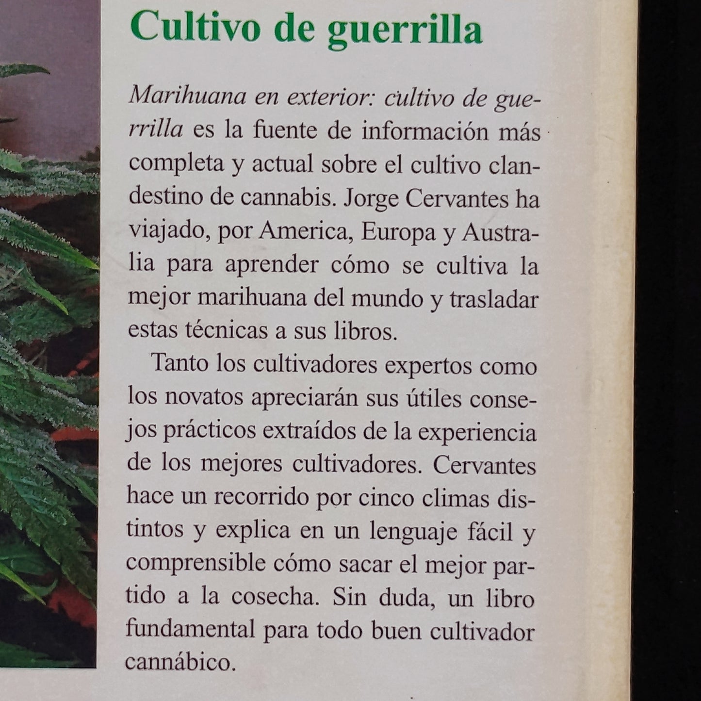 Marihuana en exterior. Cultivo de guerrilla. - Jorge Cervantes