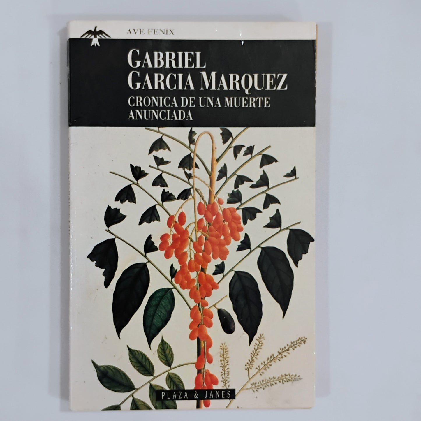 Crónica de una muerte anunciada - Gabriel García Márquez