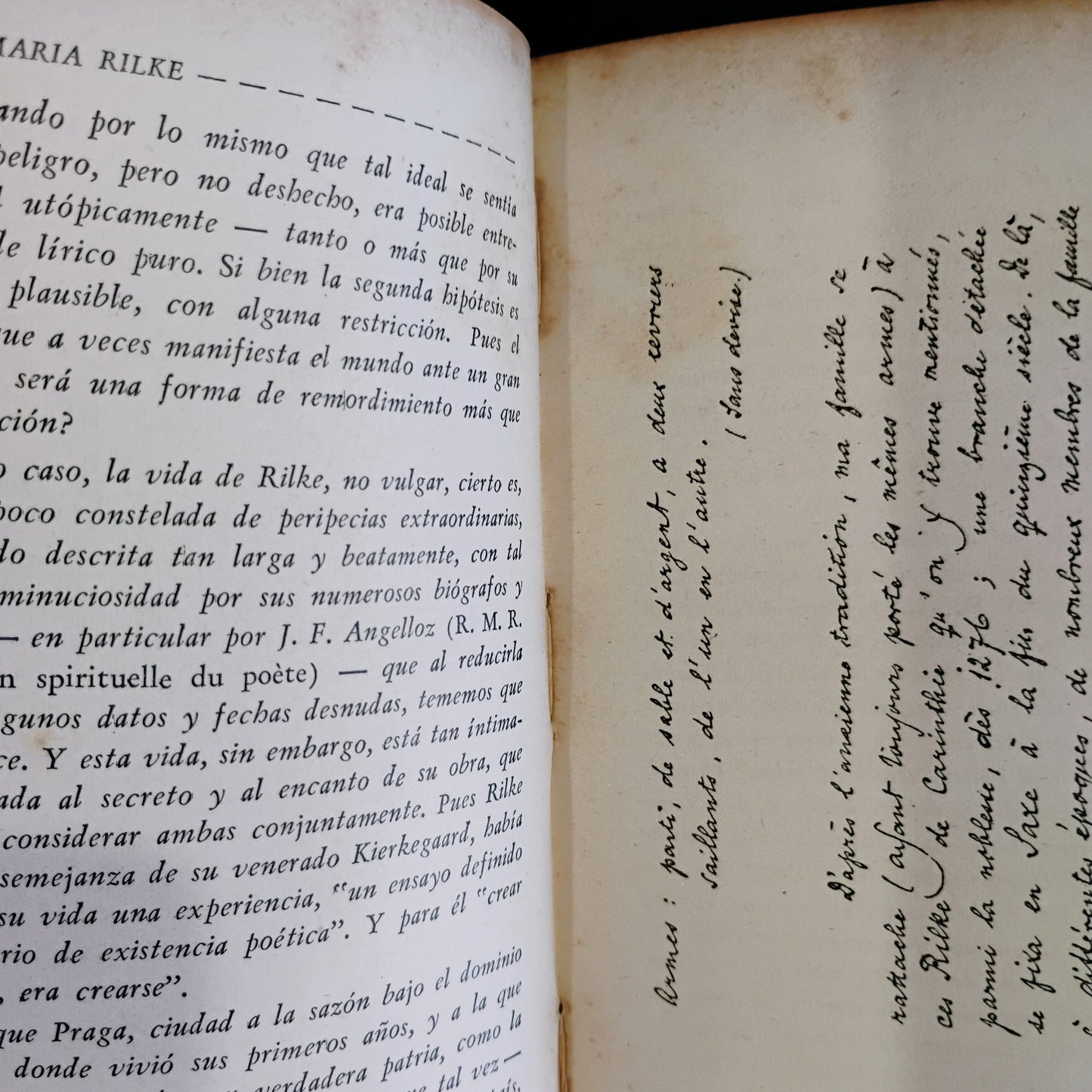 Los cuadernos de Malte Laurids Brigge - Rainer María Rilke