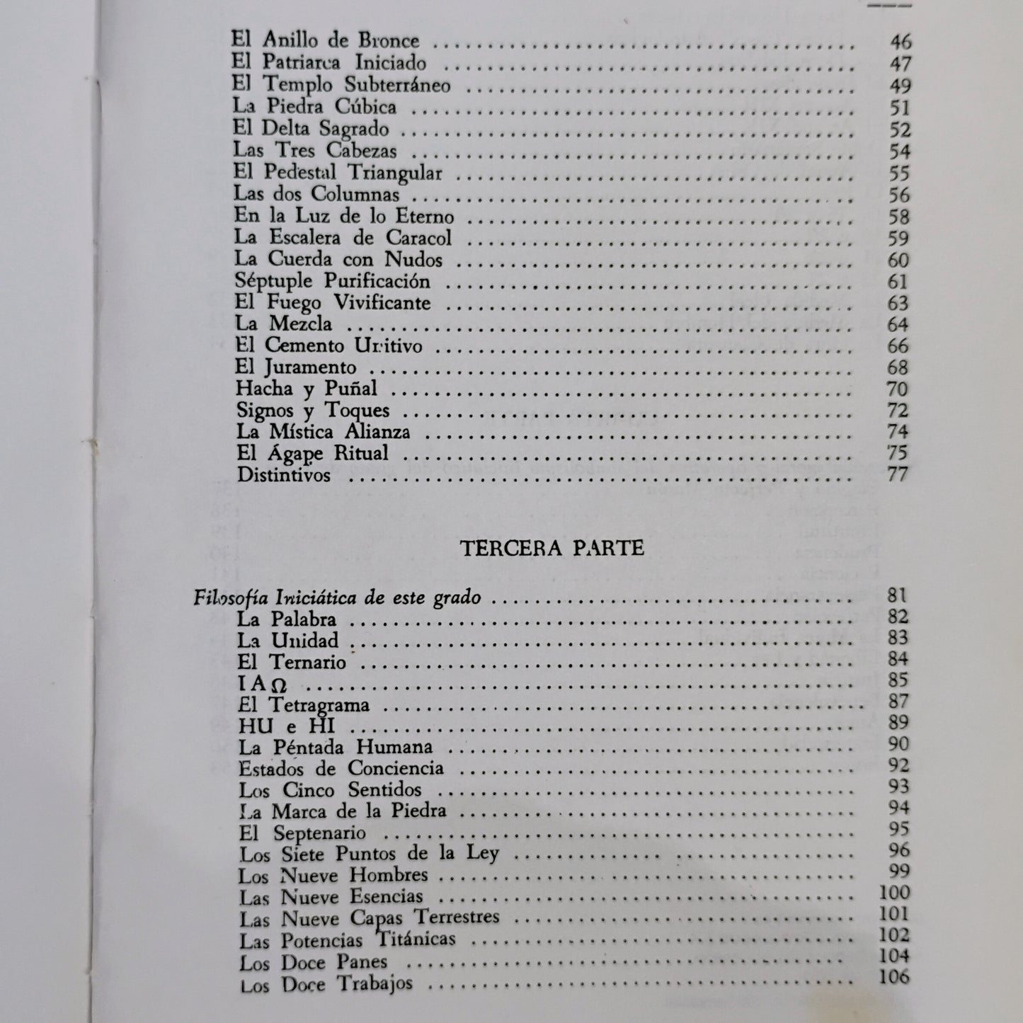Manual del Gran Elegido - Aldo Lavagnini