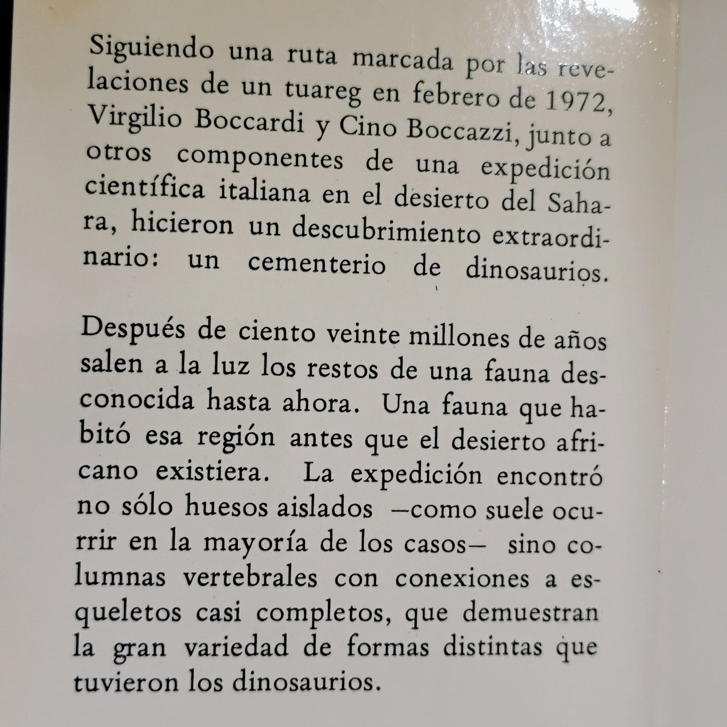 El desierto de los dinosaurios - Como Boccazzi, Virgilio Boccardi