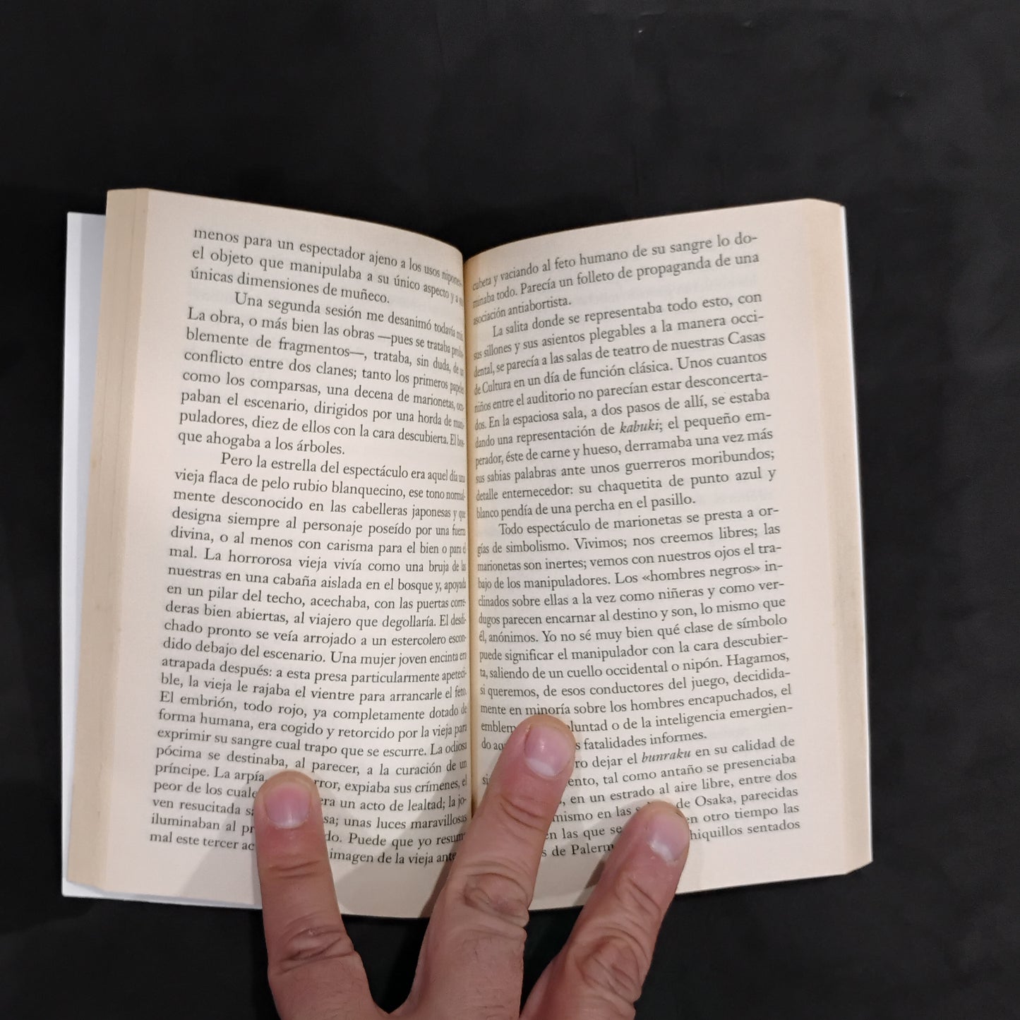 Una vuelta por mi cárcel - Marguerite Yourcenar