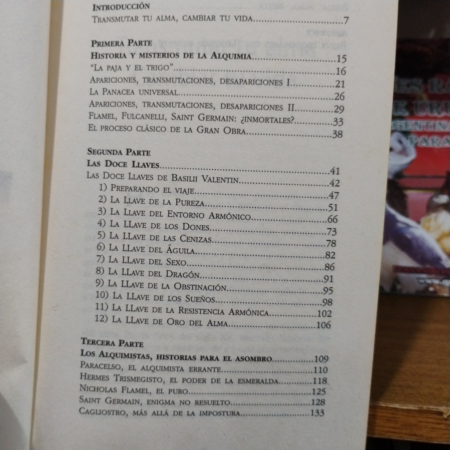 Manual de Alquimia para la Nueva Era - Ada Vian