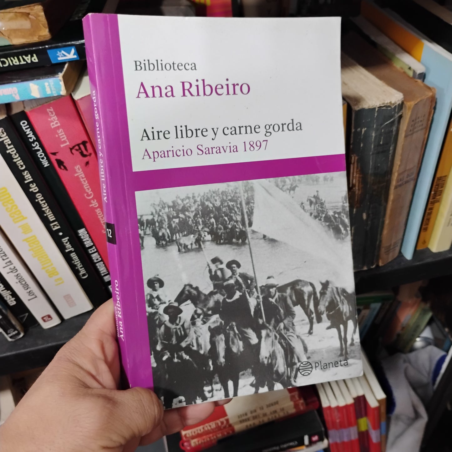 Aire libre y carne gorda. Aparicio Saravia 1897 - Ana Ribeiro