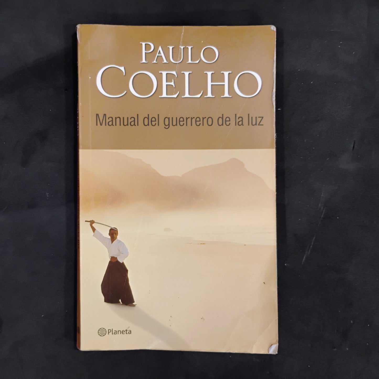 Manual del guerrero de la luz - Paulo Coelho