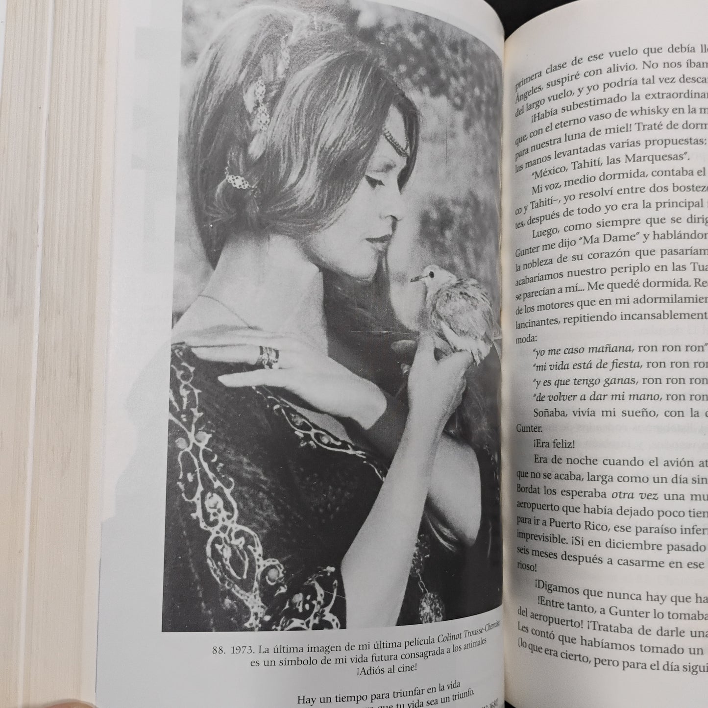 Brigitte Bardot. Iniciales B. B. Memorias