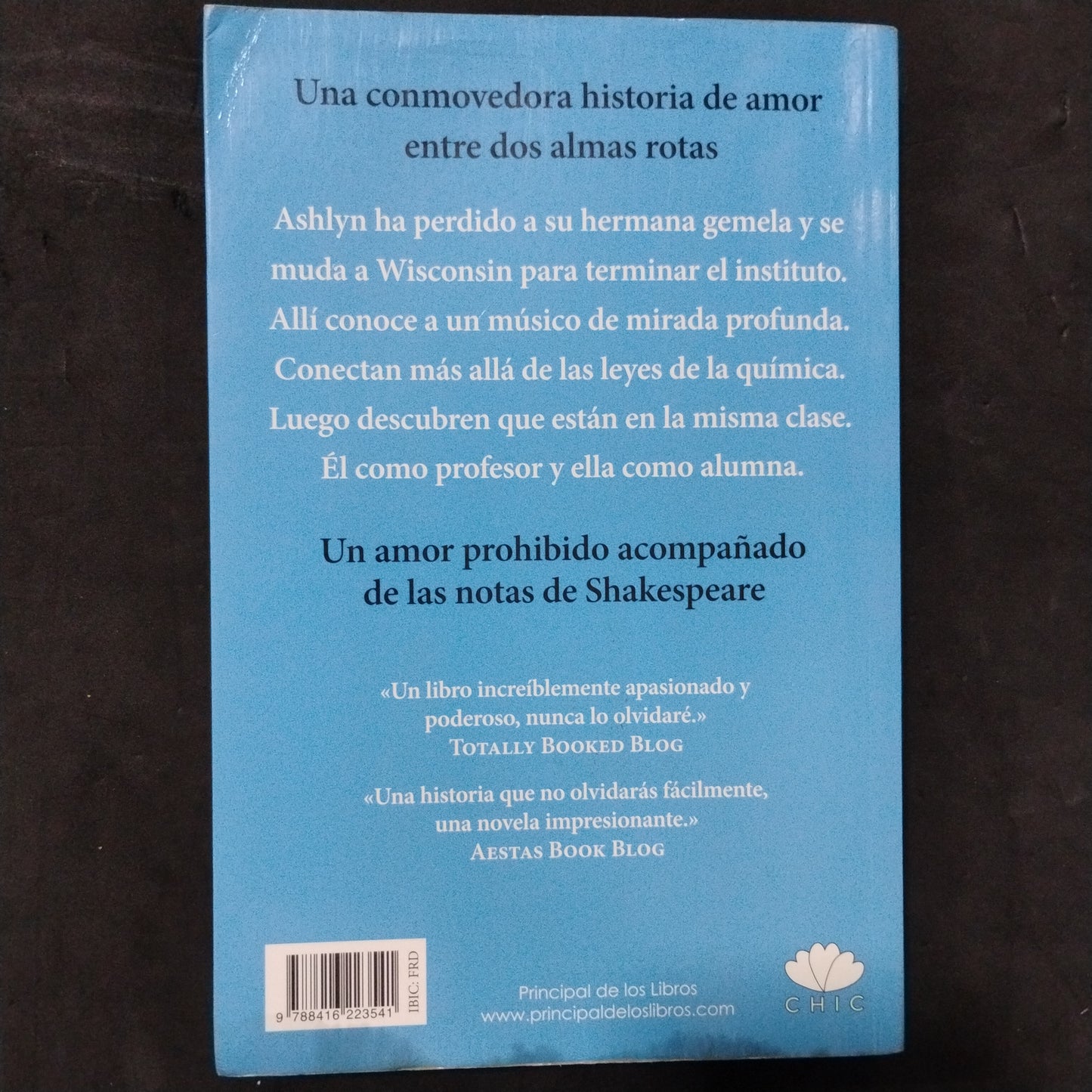 Querido señor Daniels - Brittainy C. Cherry