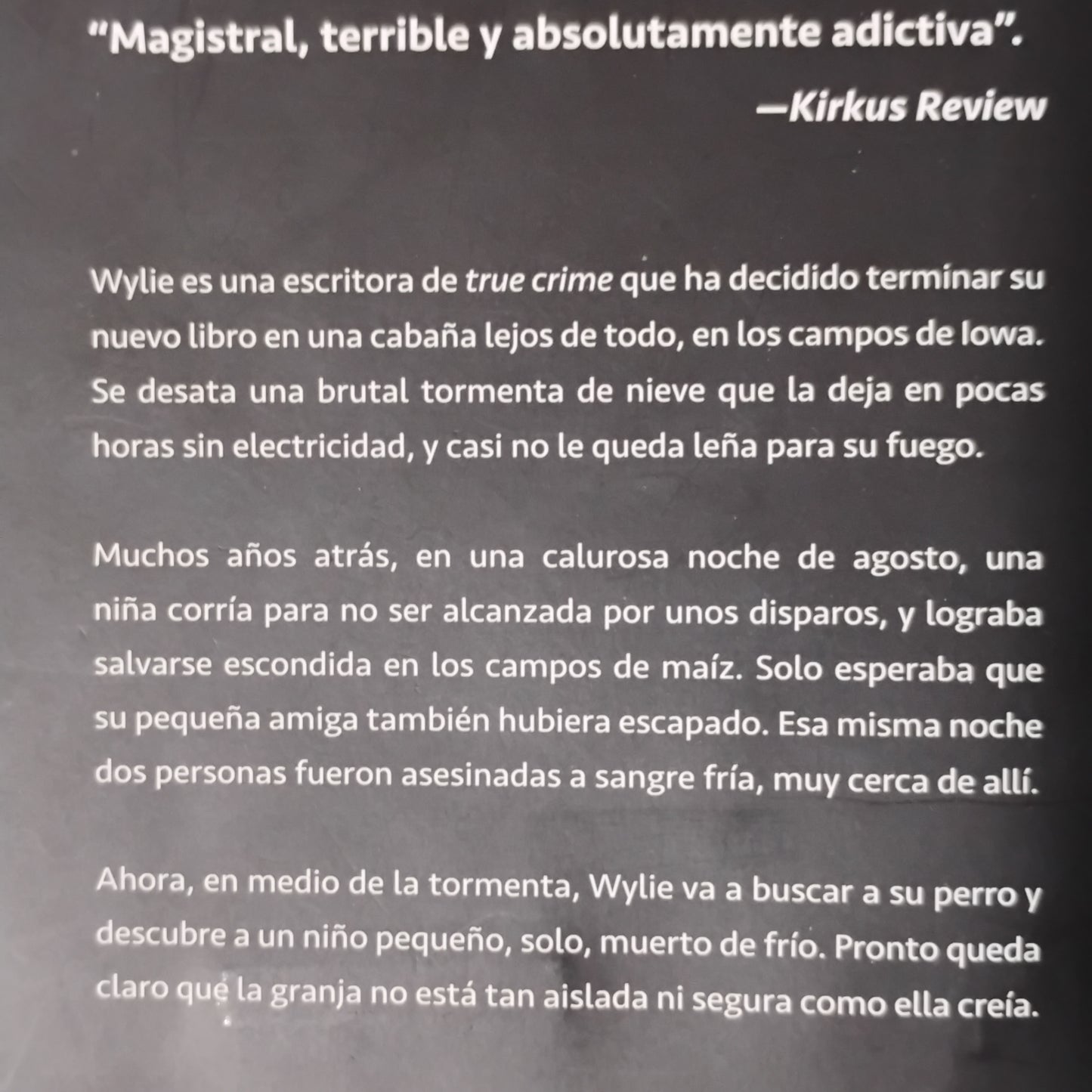 Huésped de una noche - Heather Gudenkauf