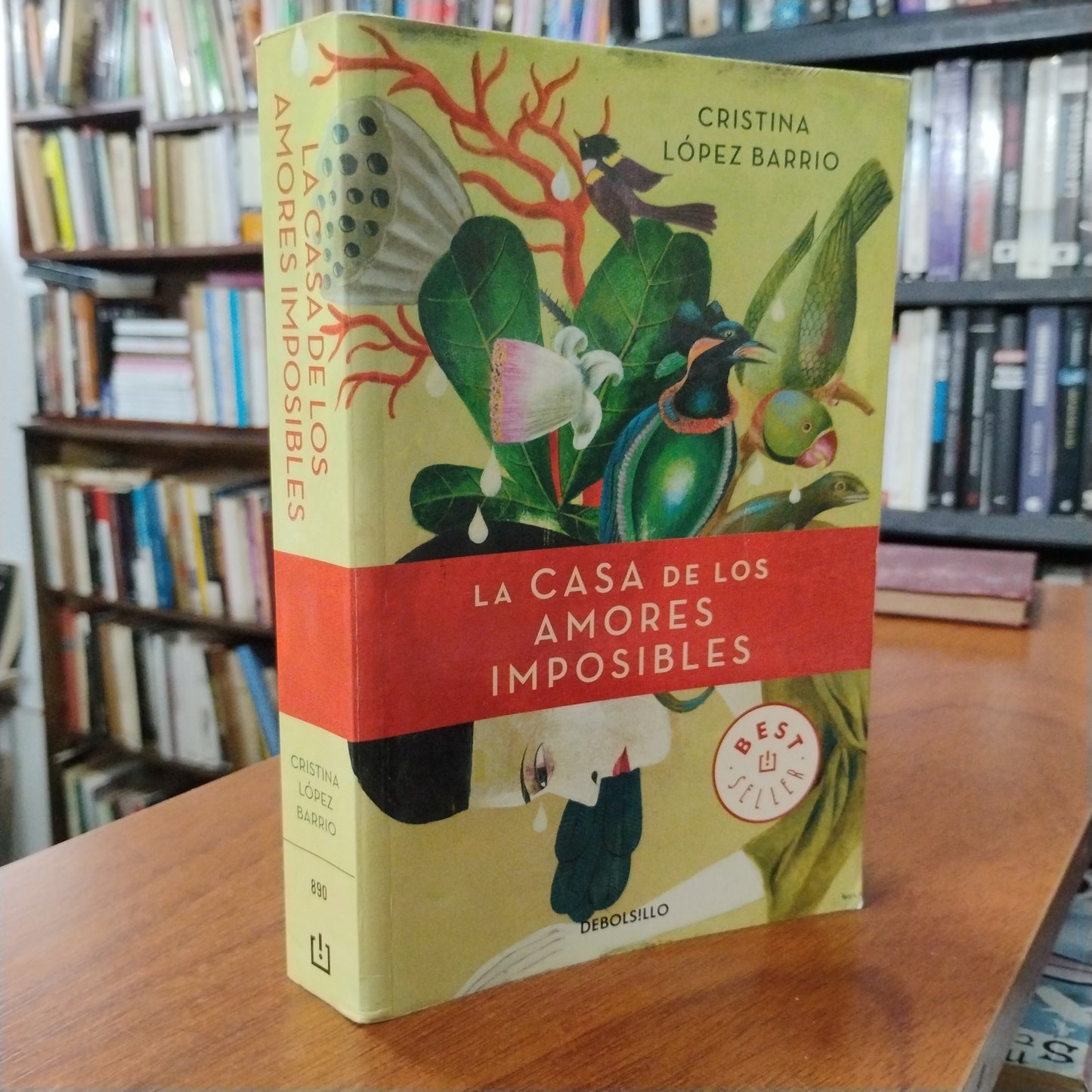 La casa de los amores imposibles - Cristina López Barrios
