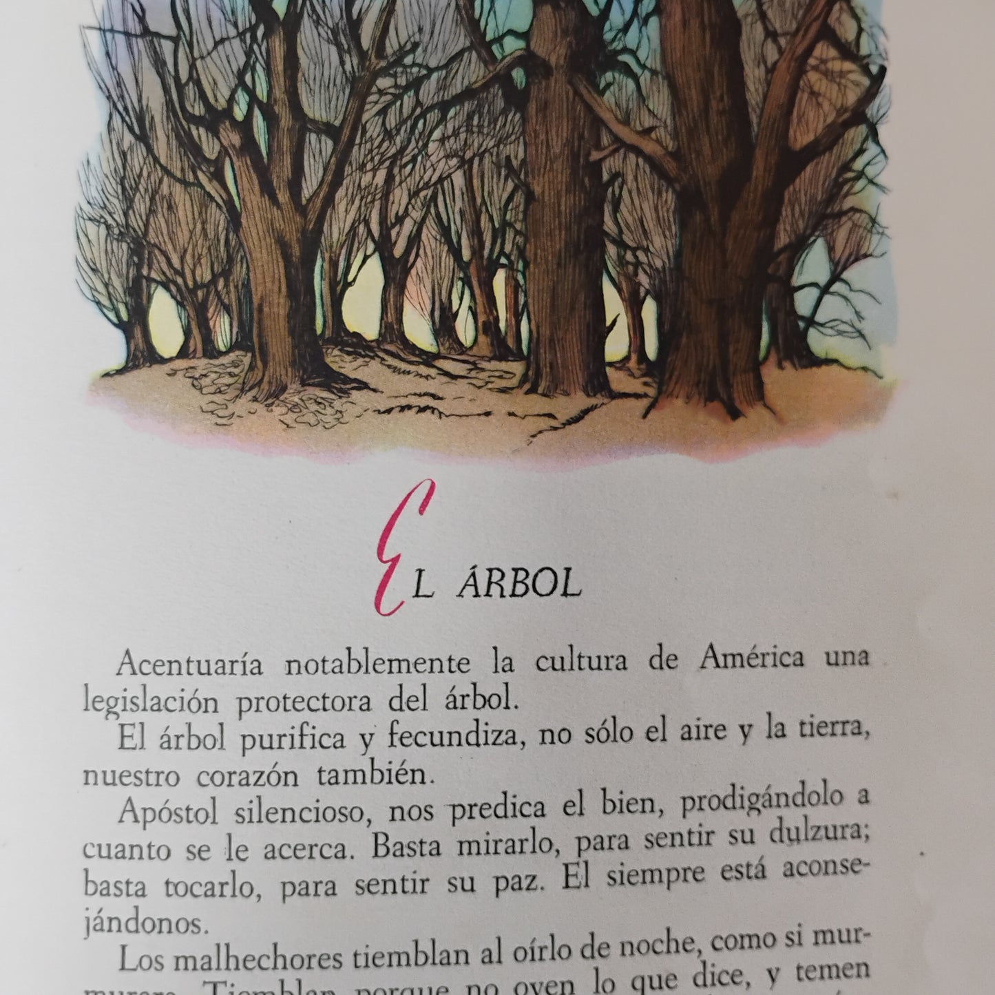 Alma Nueva – Constancio C.Vigil
