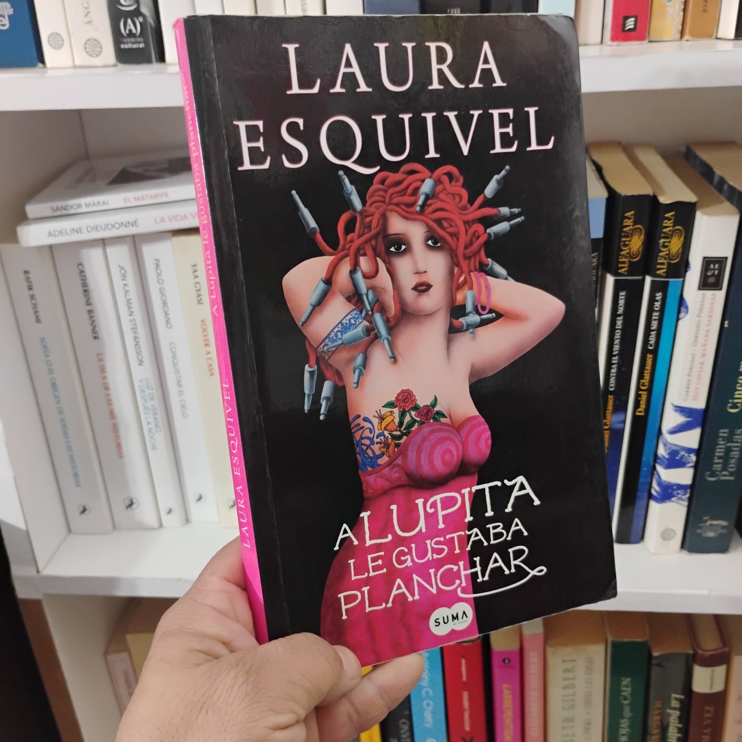 A Lupita le gusta planchar - Laura Esquivel