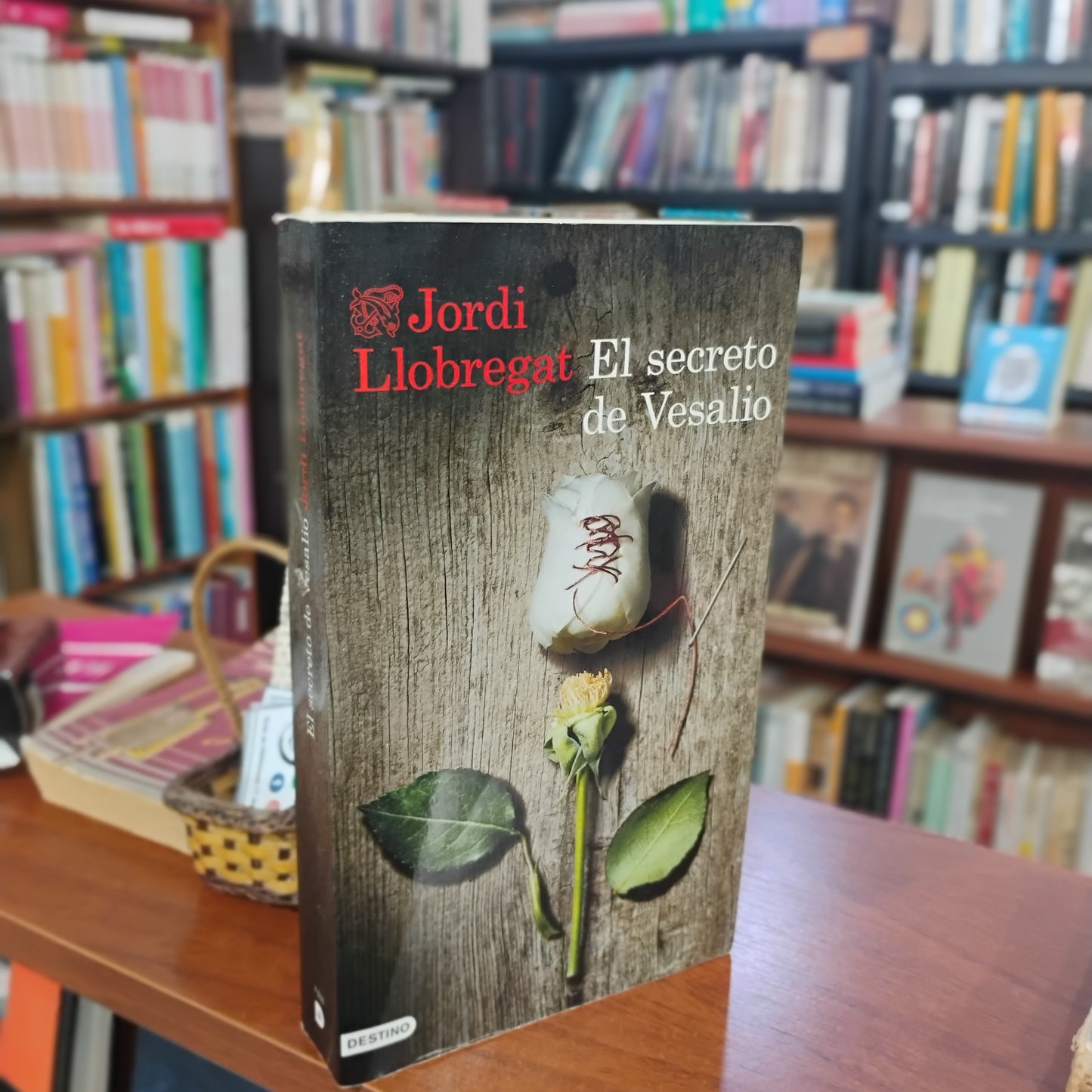 El secreto de Vesalio - Jordi Llobregat