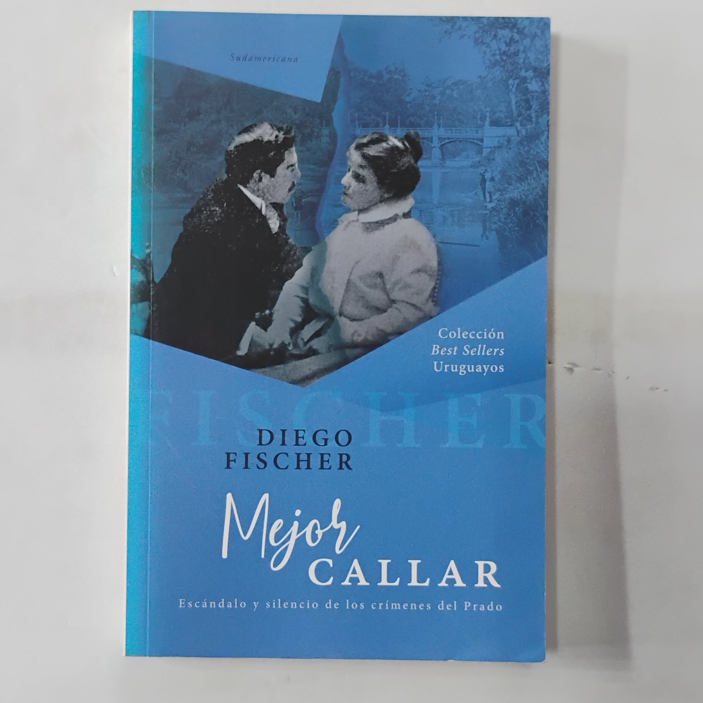 Mejor callar. Escándalo y silencio de los crímenes del Prado - Diego Fischer