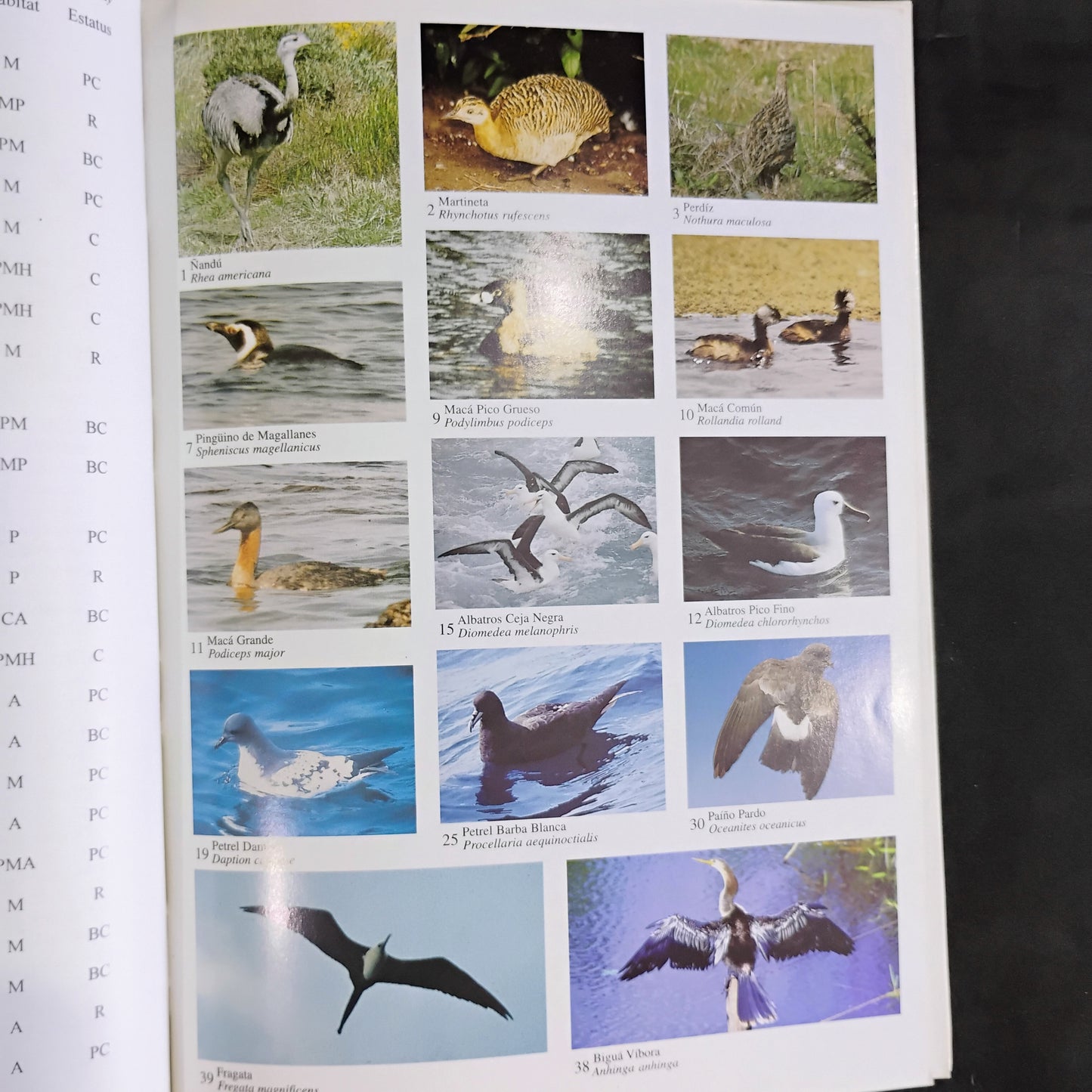AVES DEL URUGUAY. Lista, estatus y distribución - Adriàn B. Azpiroz