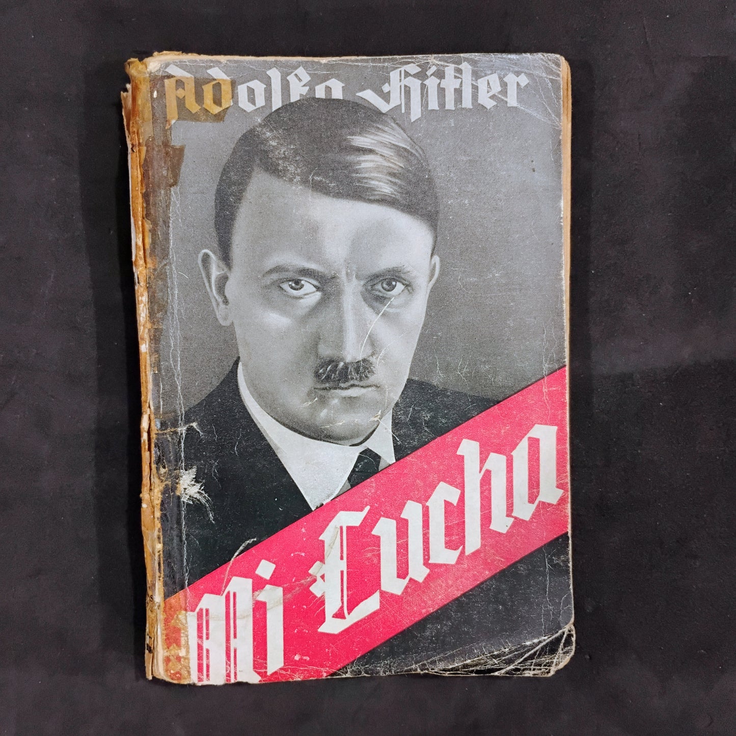 Mi lucha - Adolfo Hitler