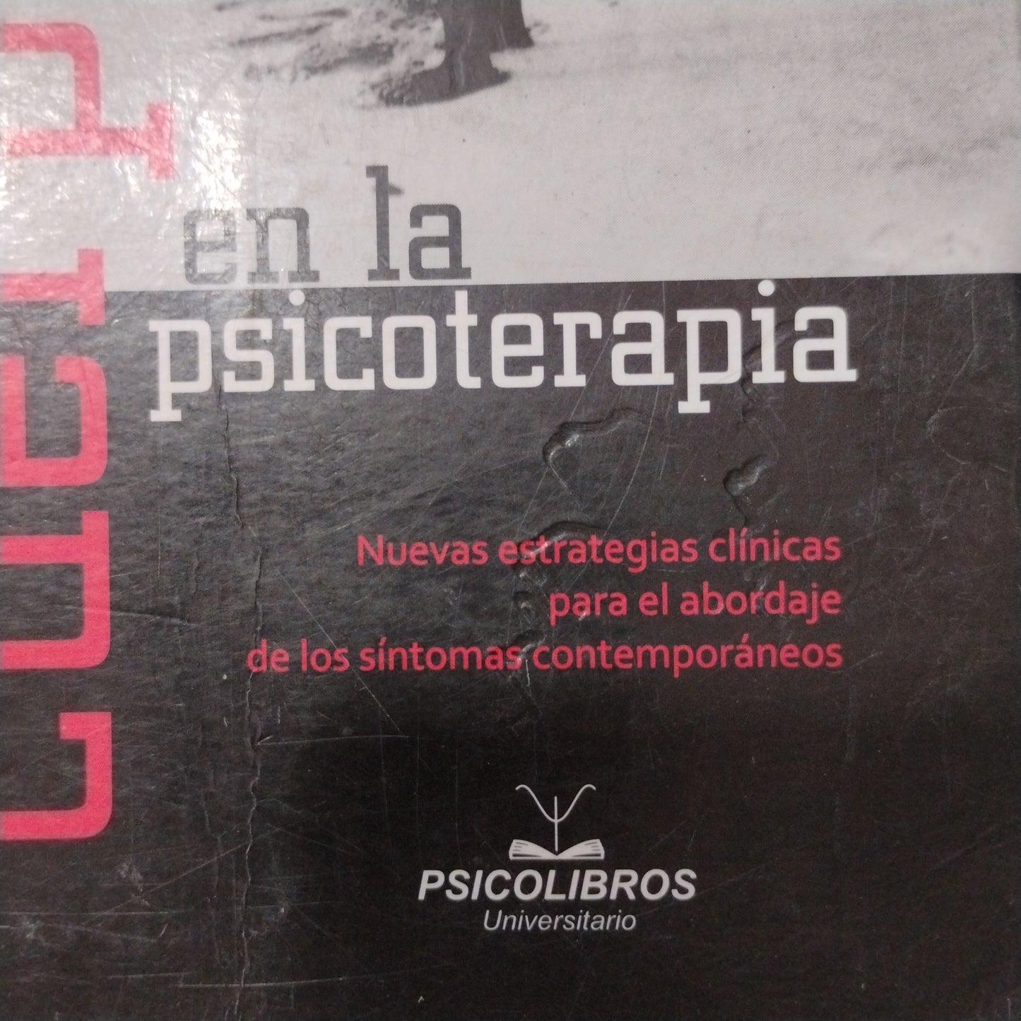 EL CUERPO EN LA PSICOTERAPIA. Nuevas estrategias para el abordaje de los síntomas contemporáneos - Luis Gonçalvez Baggio