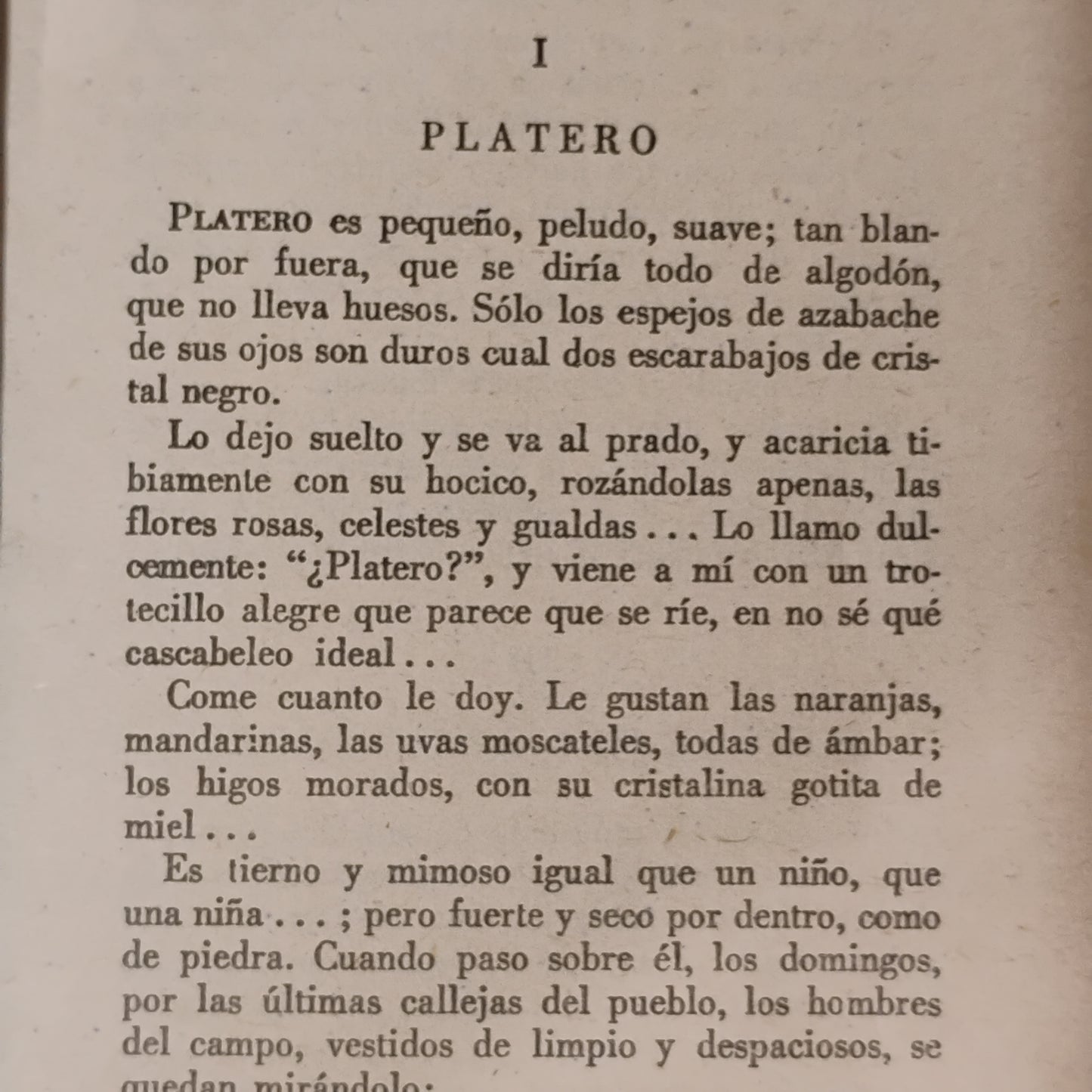 Platero y yo - Juan Ramón Jimenez
