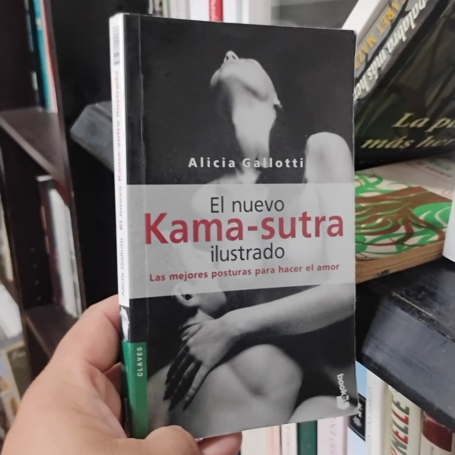 El nuevo KAMA-SUTRA ilustrado - Alicia Gallotti