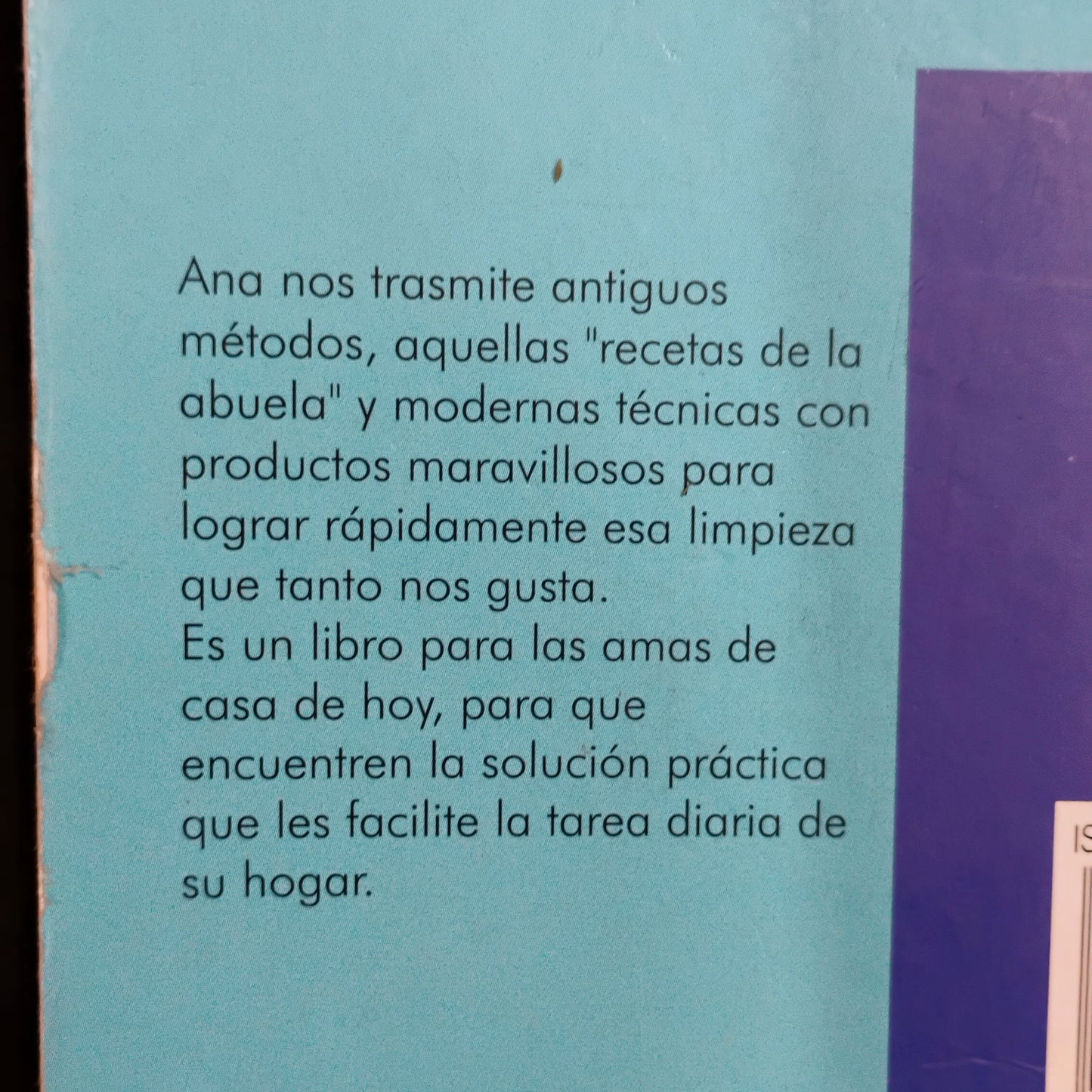 Secretos útiles para el hogar - Ana Durán