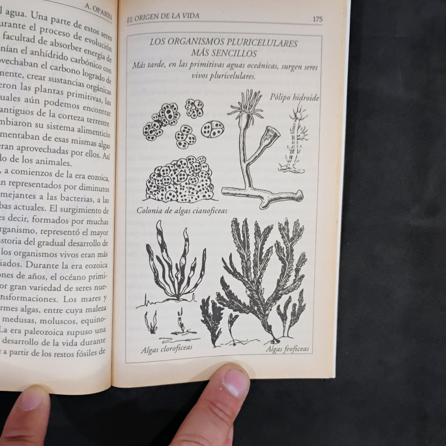 El origen de la vida - A. Oparin