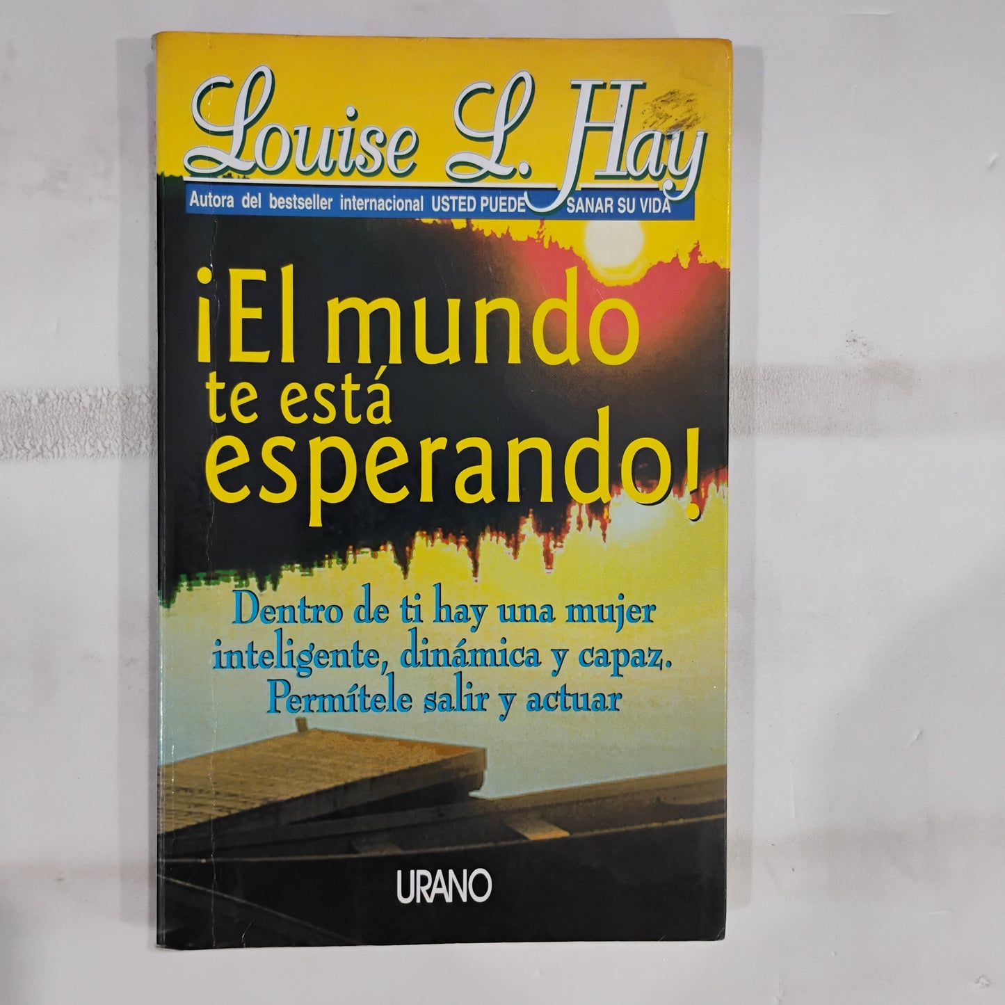 El mundo te está esperando - Louis L. Hay