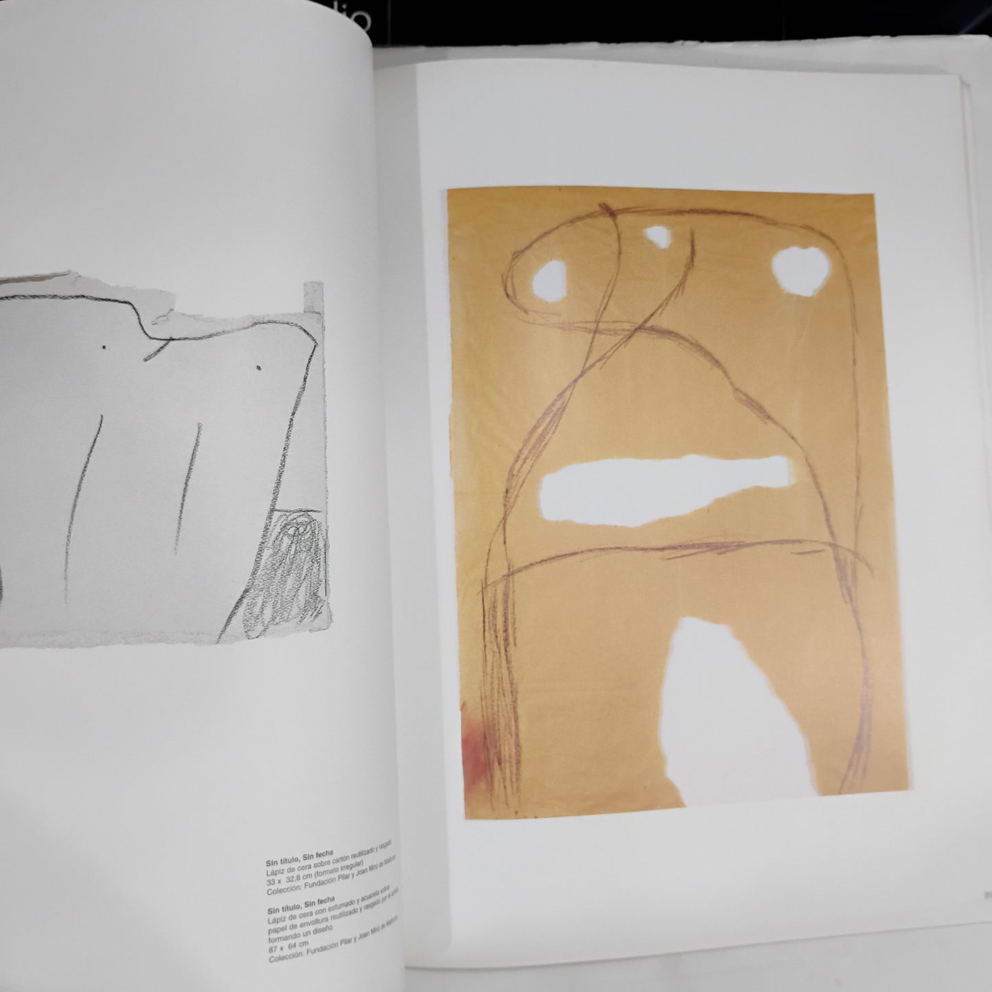 Miró - Caminos de la expresión