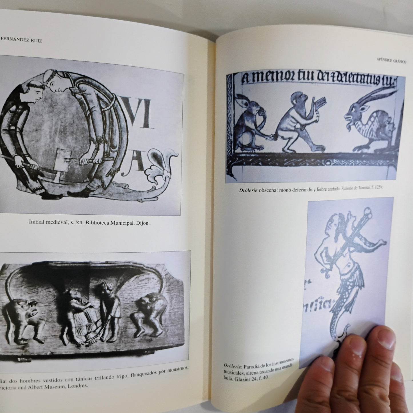 De Rabelais a Dalí. La imagen grotesca del cuerpo - Beatriz Fernández