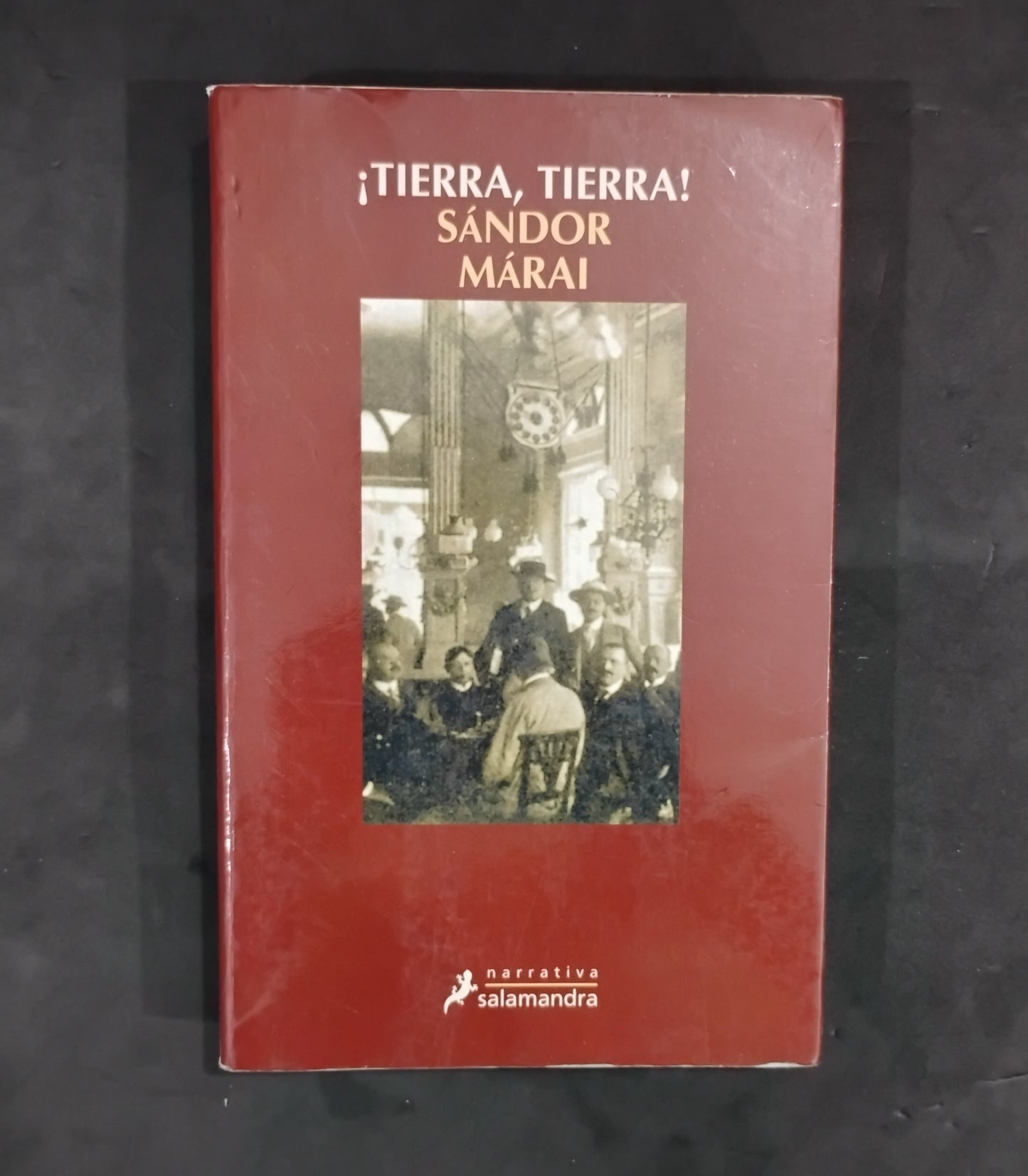 ¡Tierra, tierra! - Sándor Márai