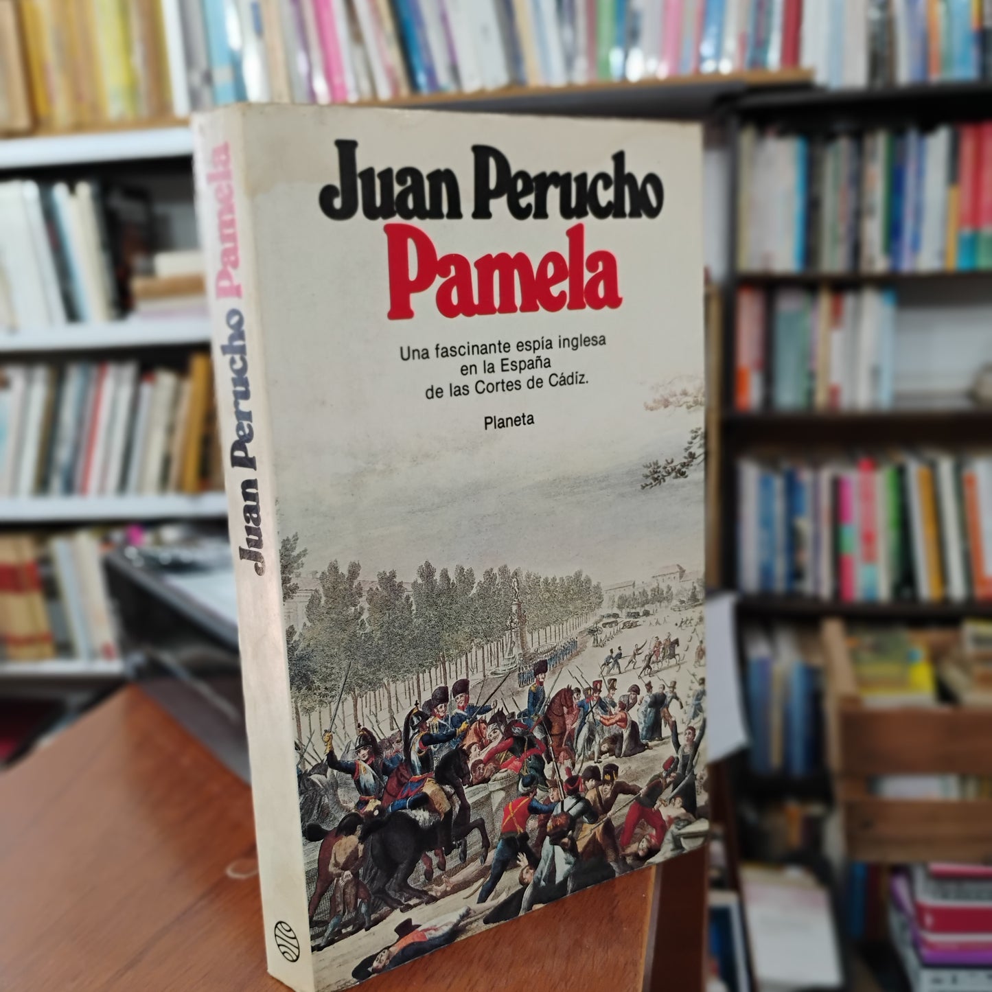 PAMELA - Juan Perucho