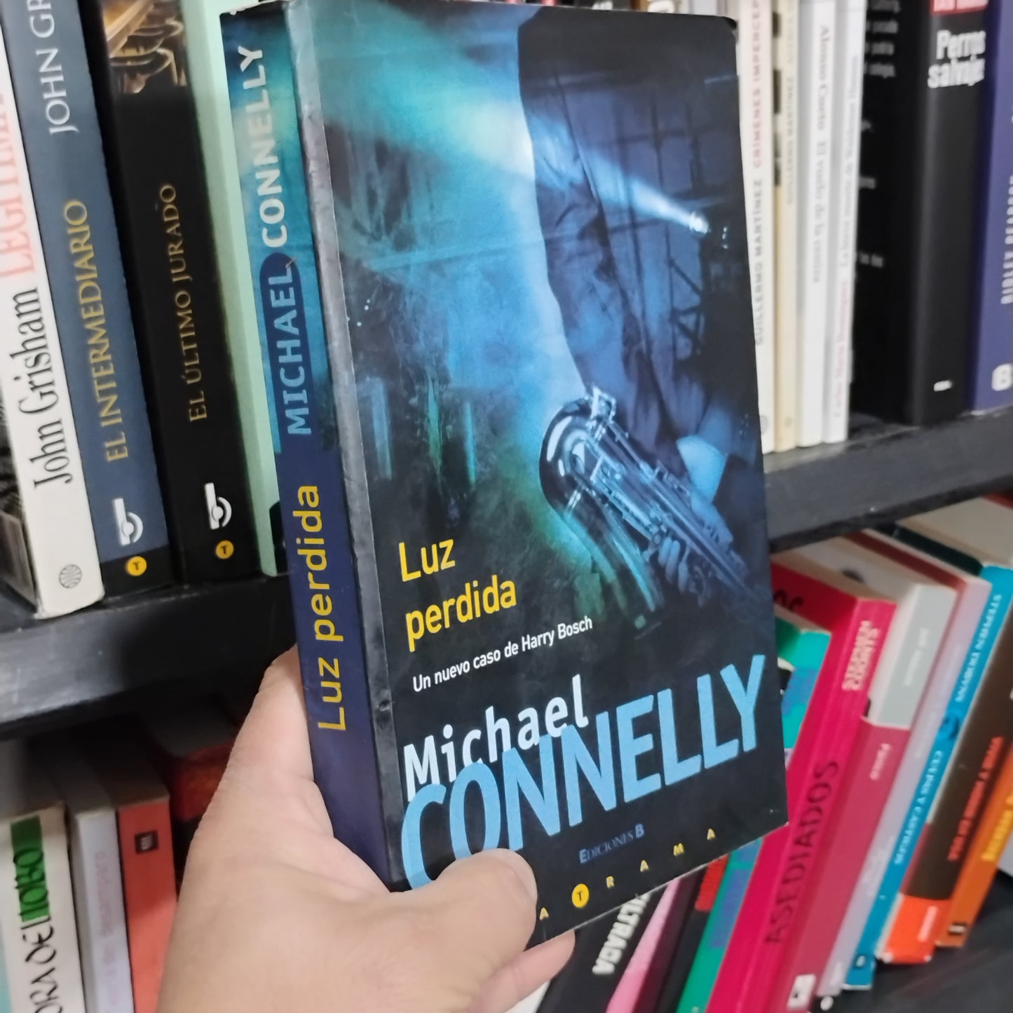 Luz perdida - Michael Connelly
