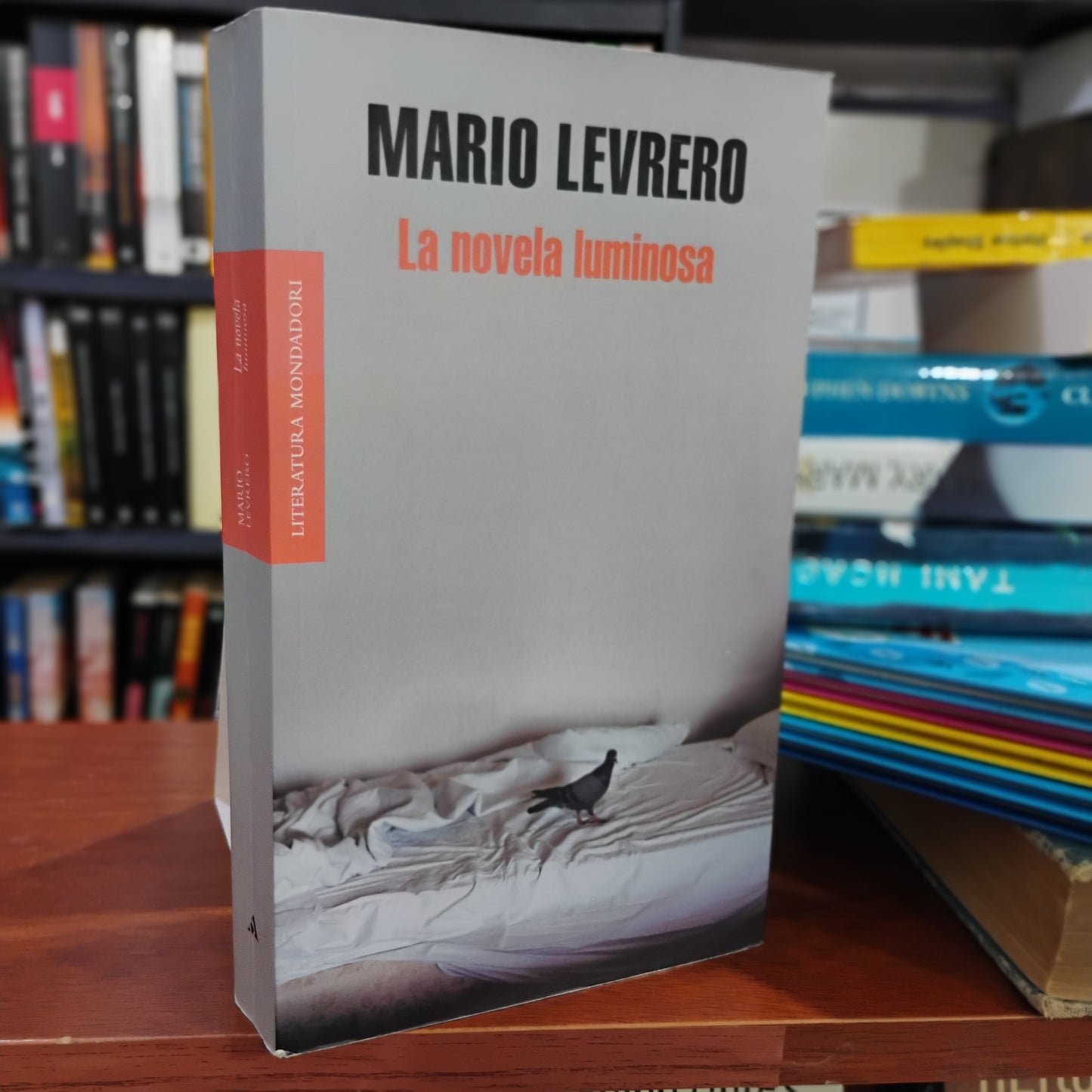 La novela luminosa - Mario Levrero