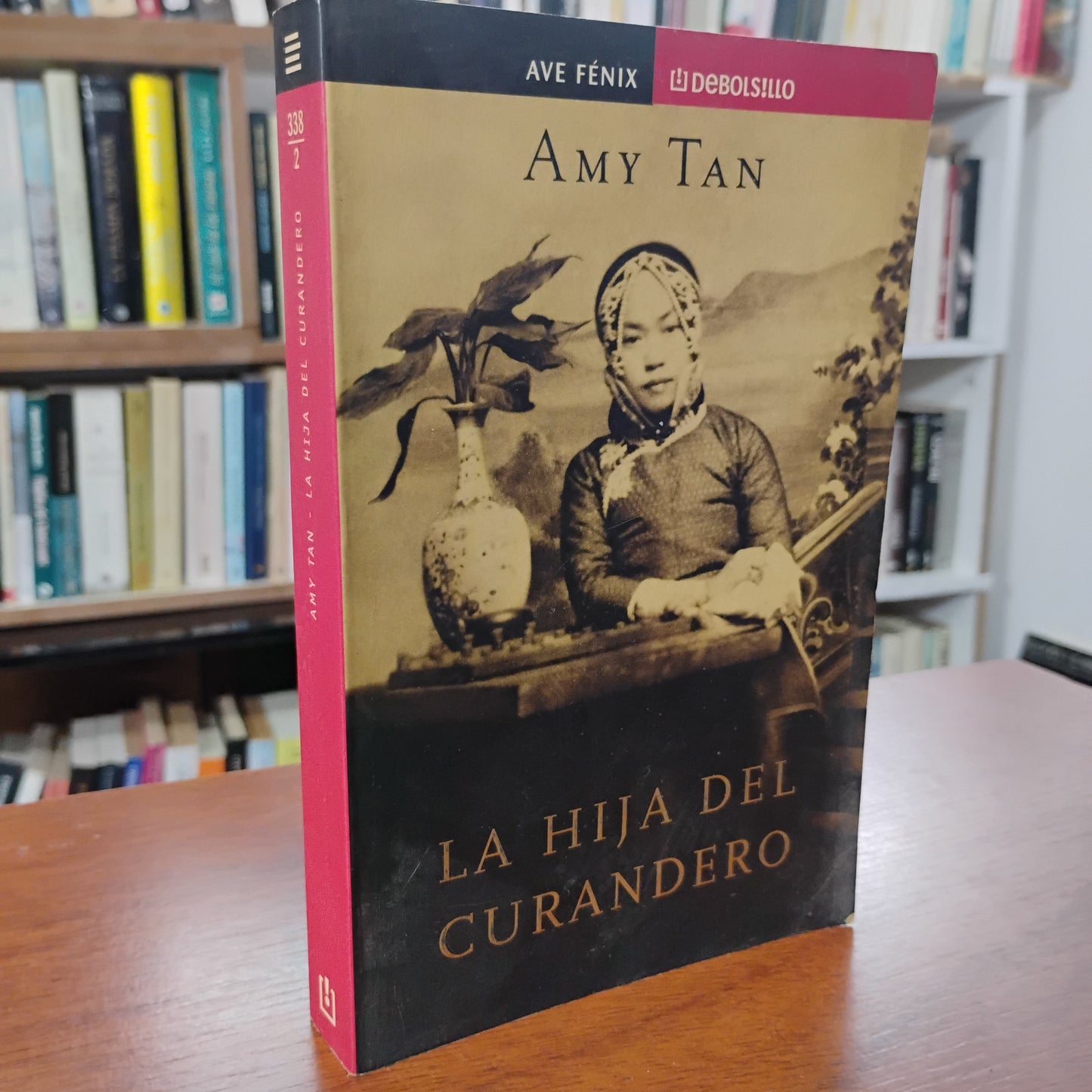 La hija del curandero - Amy Tan