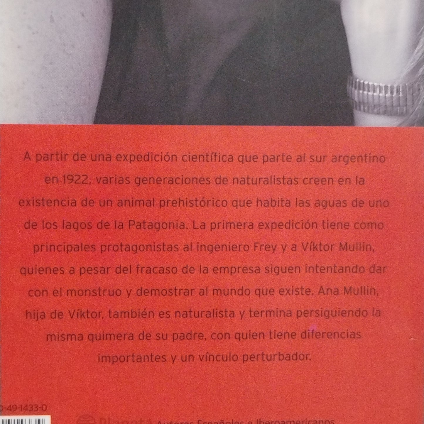 El lago - Paola Kaufmann