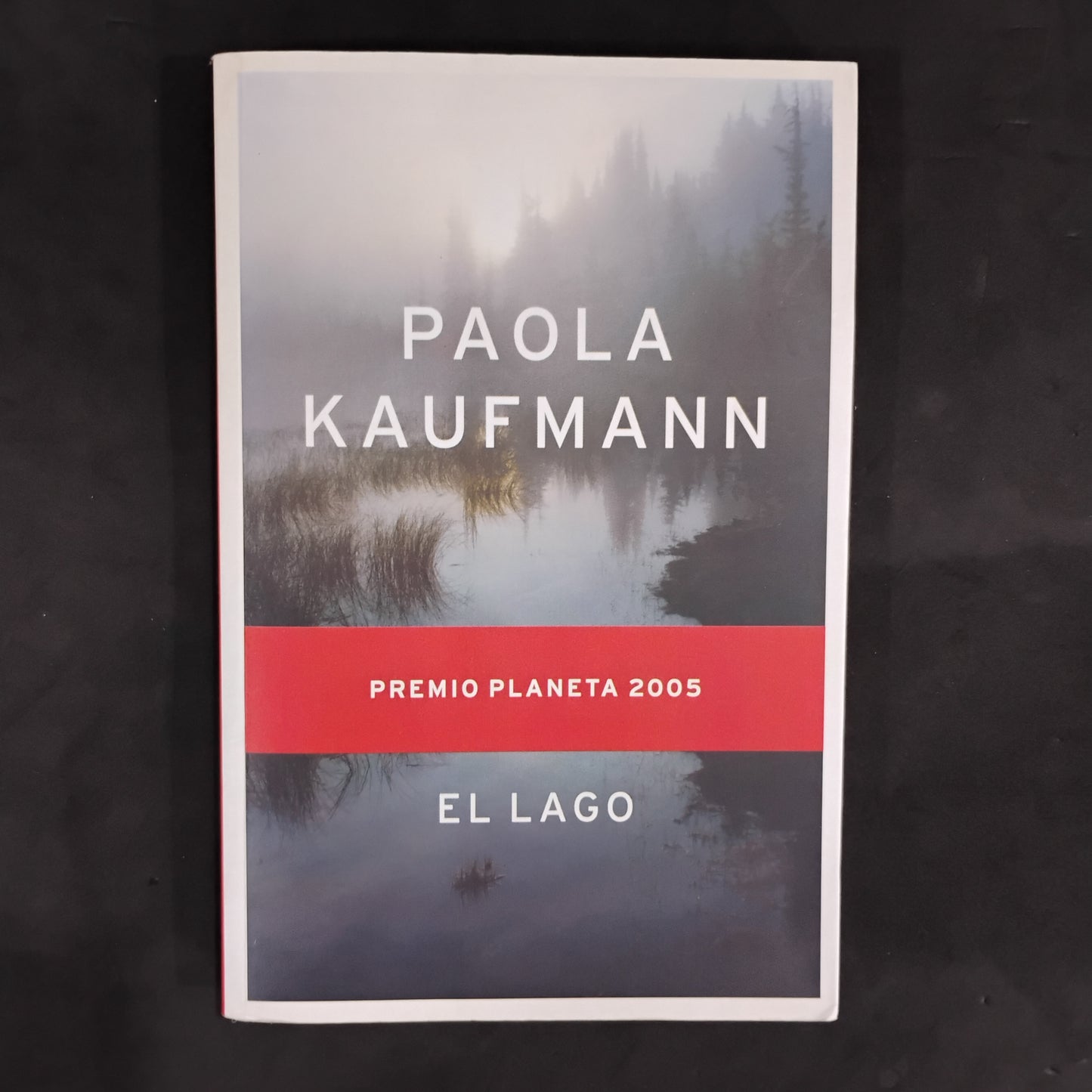 El lago - Paola Kaufmann