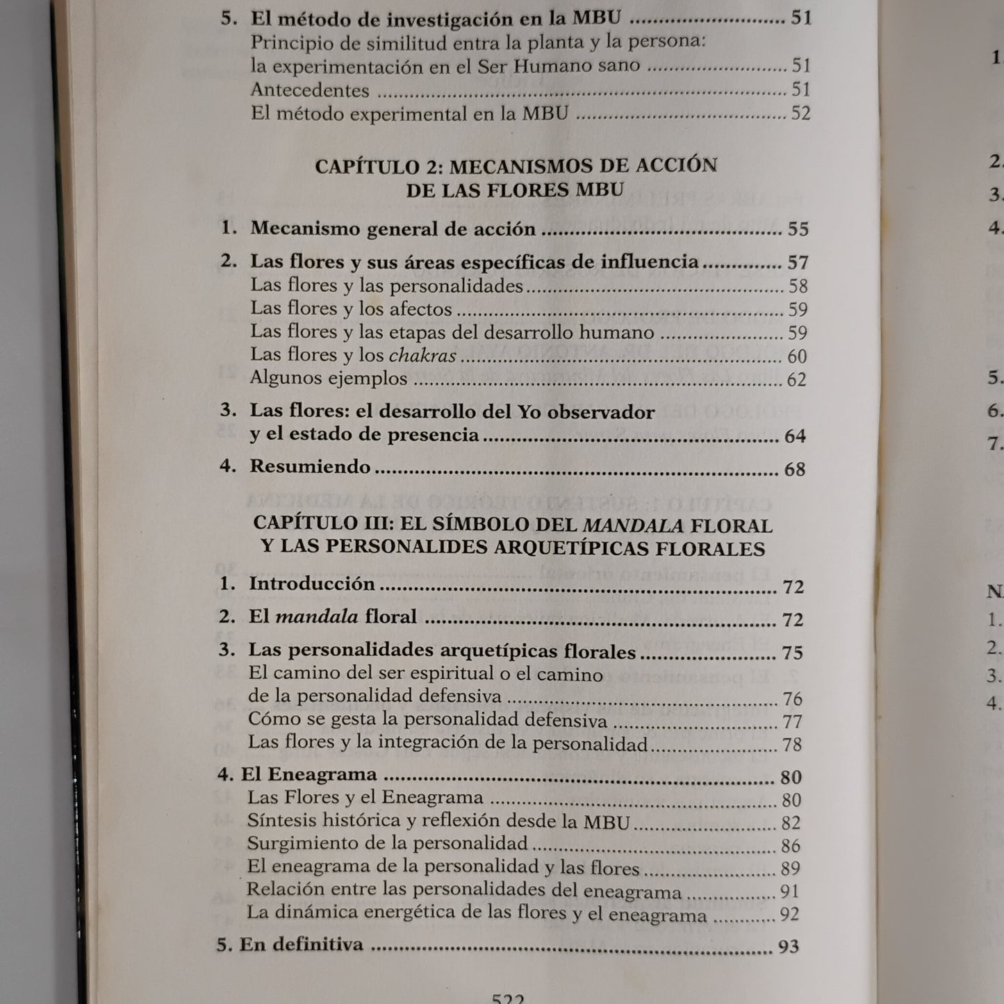 Una Medicina del Ser. Medicina Arquetípica de Flores y Hierbas del Uruguay - Bernardo Ferrando