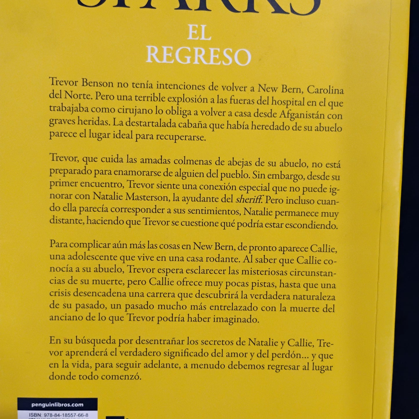 El regreso - Nicholas Sparks
